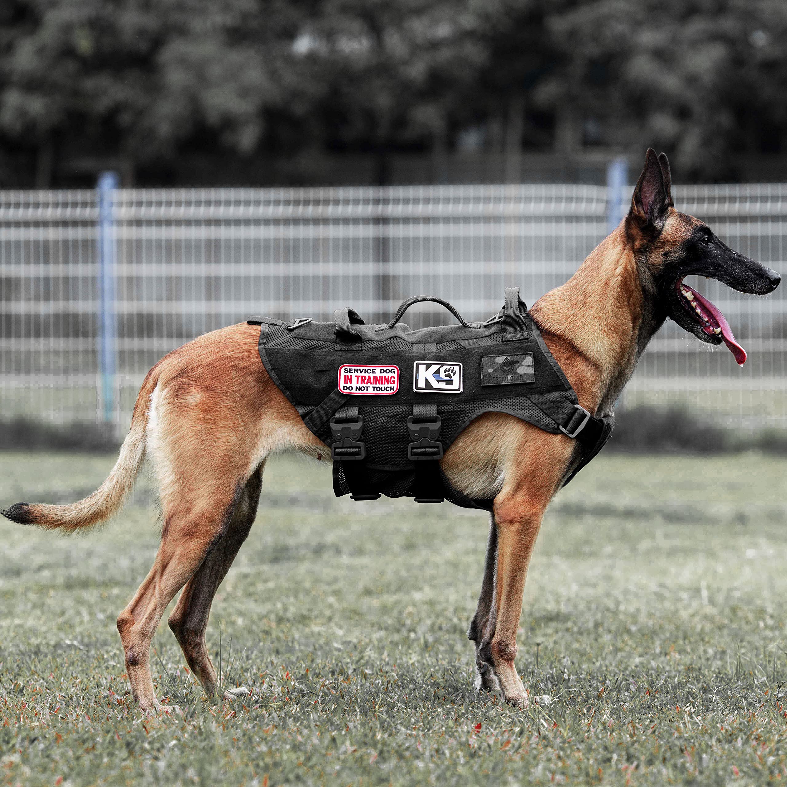 Petac Gear Tactical Dog Harness No Pull For Large K9 Working Dogs Military Dogs Vest Police Service Training Dogs Molle Harnesse