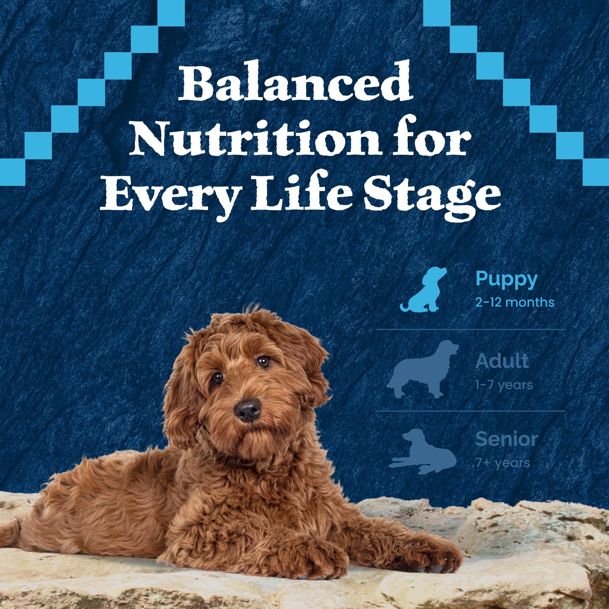 Blue Buffalo Wilderness High-Protein Natural Dry Food for Puppies, Salmon Recipe, 24-lb. Bag