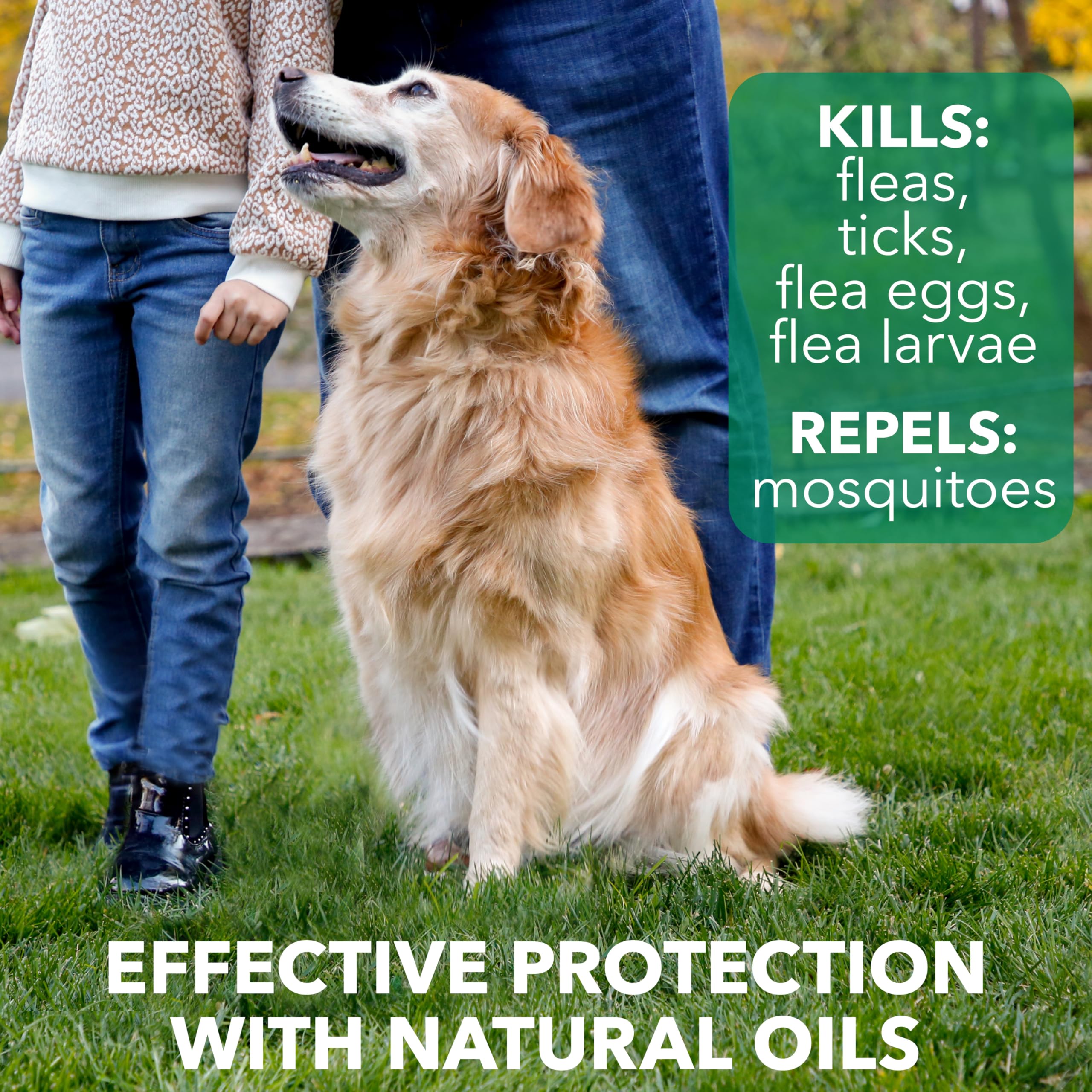 Hartz Natures Shield Flea & Tick Dog Shampoo Maximized Botanical Protection & Prevention with Cinnamon, Citronella & Rosemary Oi