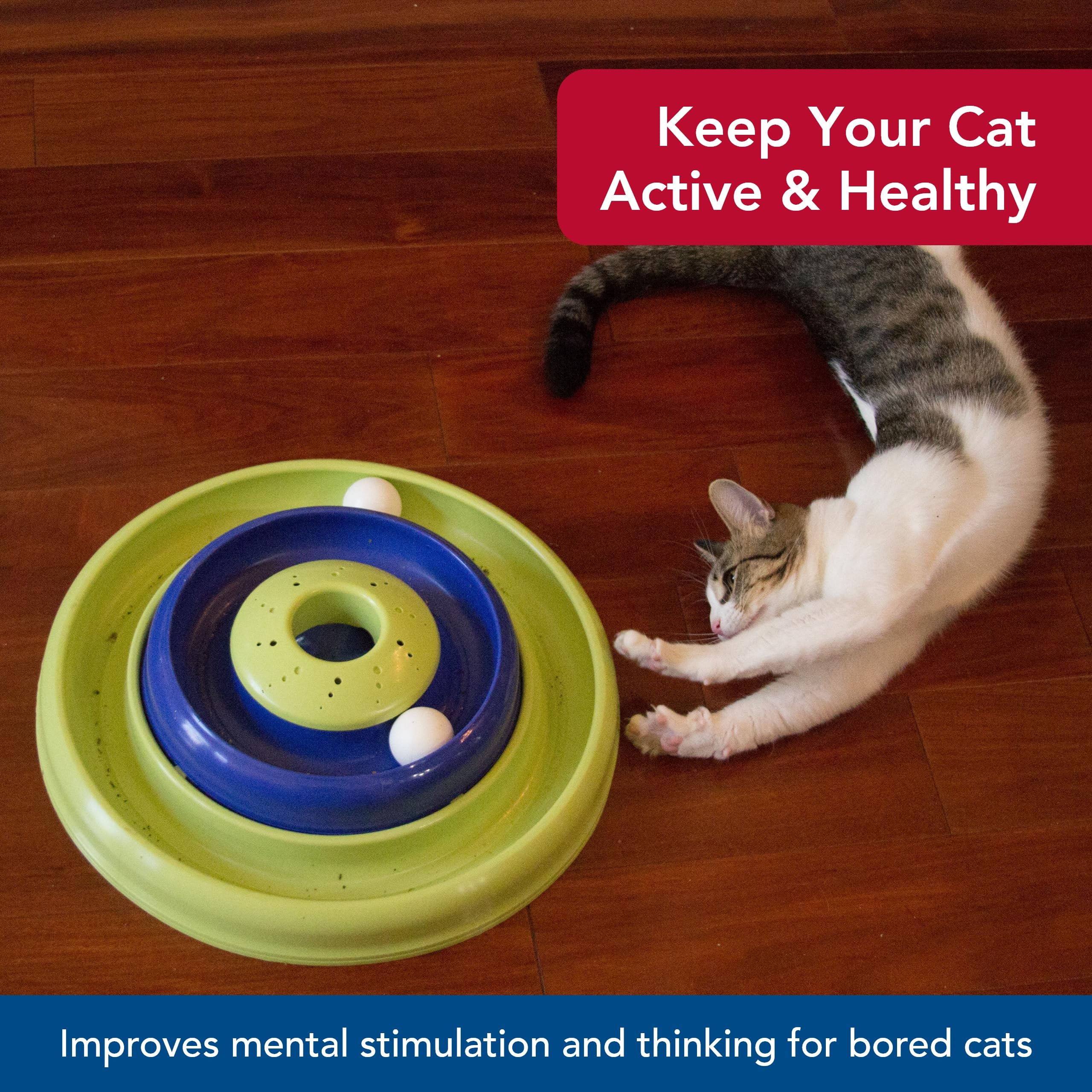 Coastal Pet Turbo Catnip Hurricane Cat Toy - Interactive Double Cat Toy Ball Track - For Cats And Kittens - Green And Blue - 16'