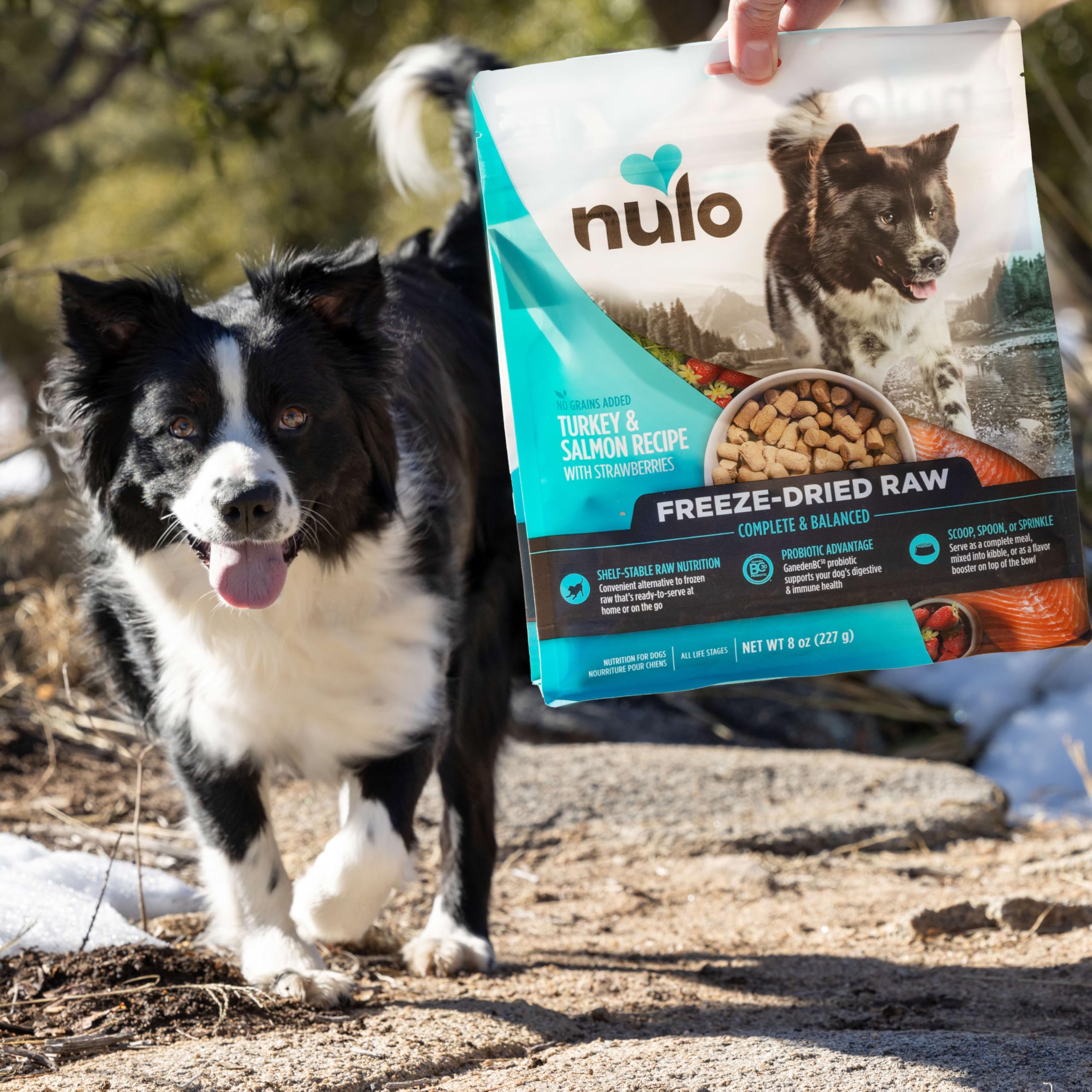 Nulo Freeze-Dried Raw Duck Recipe with Pears Complete and Balanced Dry Dog Food Kibble, 18 Ounce Bag