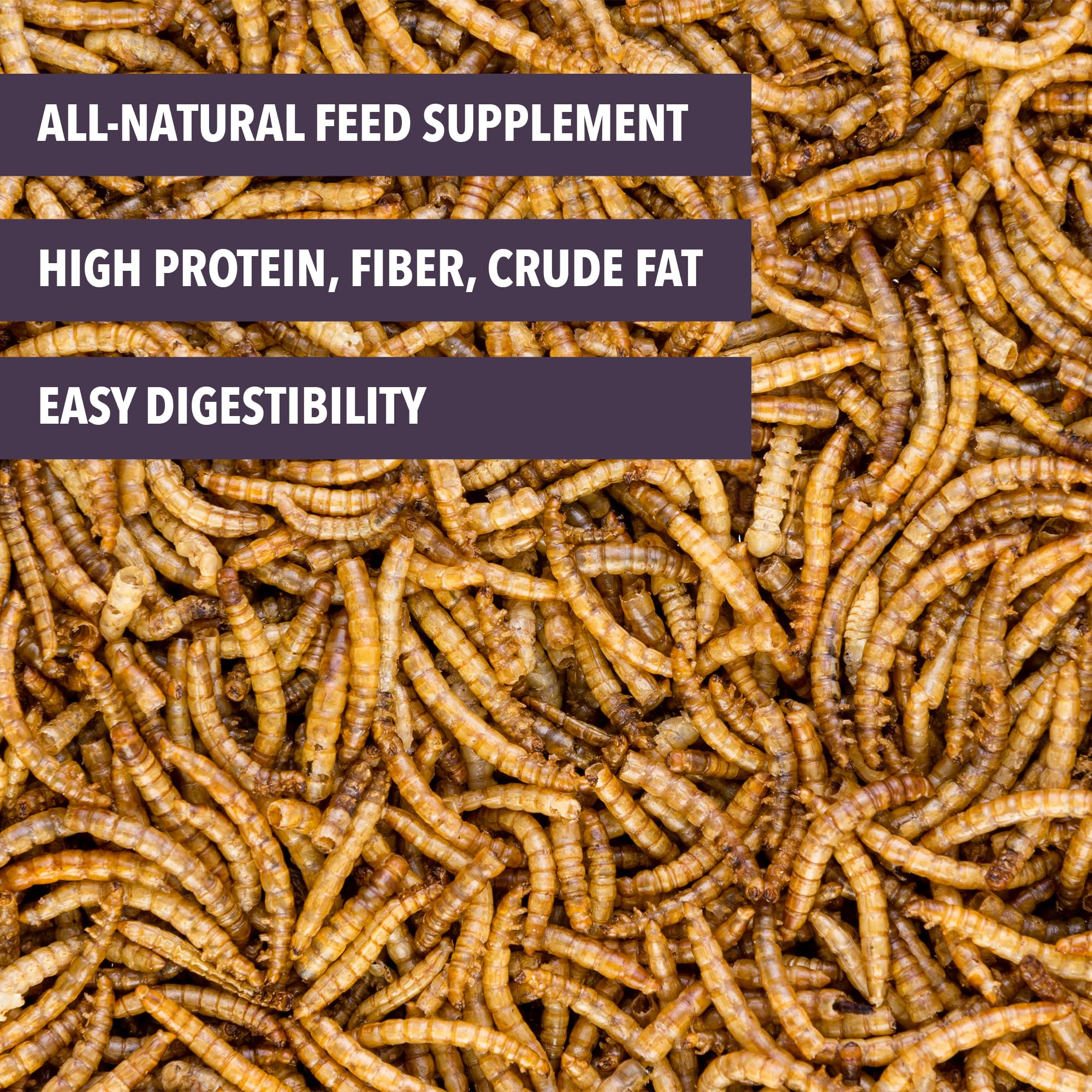 Worm Nerd WN59 2LB Dried Mealworms Non-GMO High Protein and Fiber Treat for Chickens, Birds, Reptiles, Amphibians, Fish