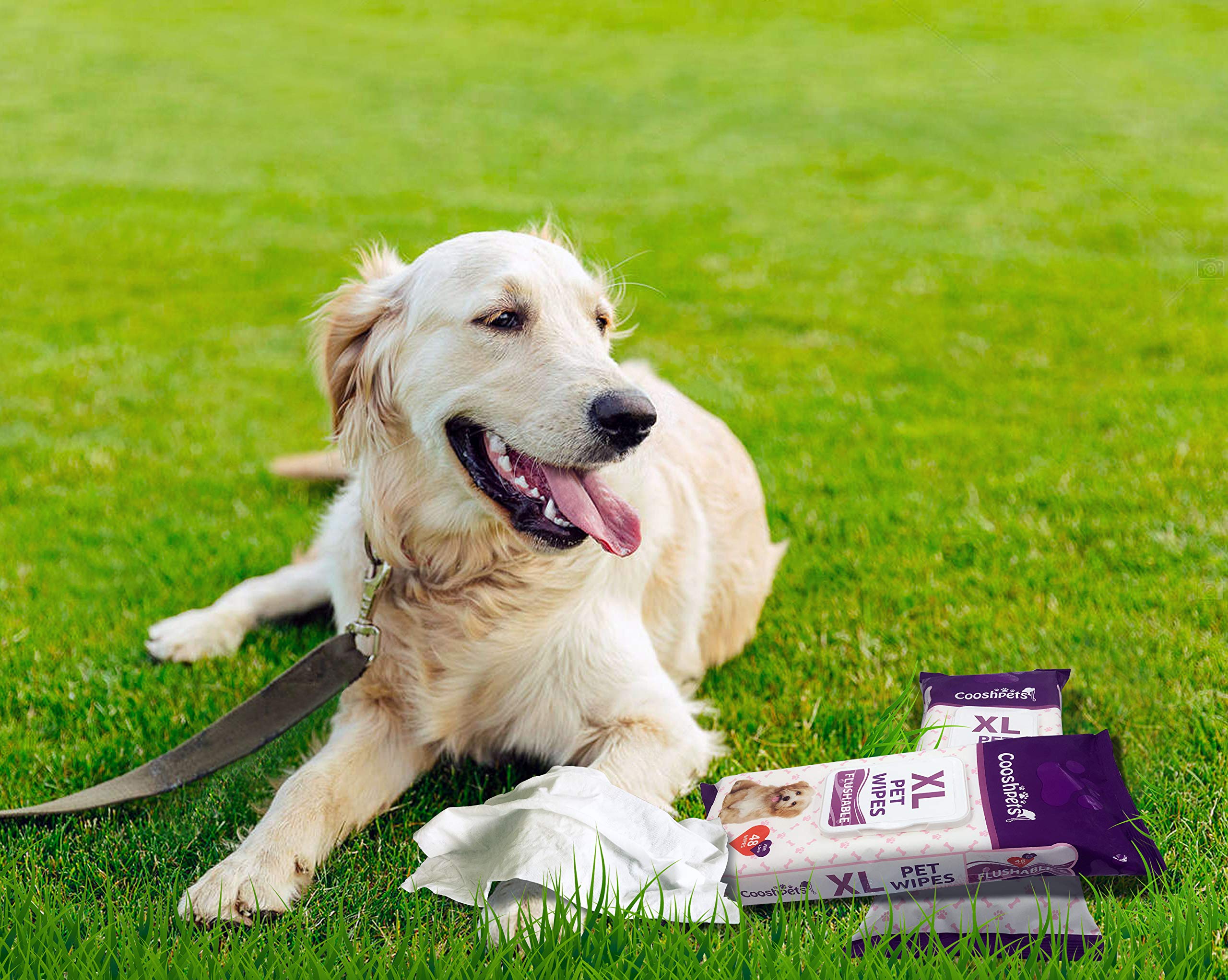 Cooshpets Premium Formulations Xl Flushable Pet Wipes - Deodorizing,Grooming Wipes For Dogs & Cats - Earth-Friendly, Hypoallergenic Value Buy (6 Packs X 48 Wipes = 288 Wipes)