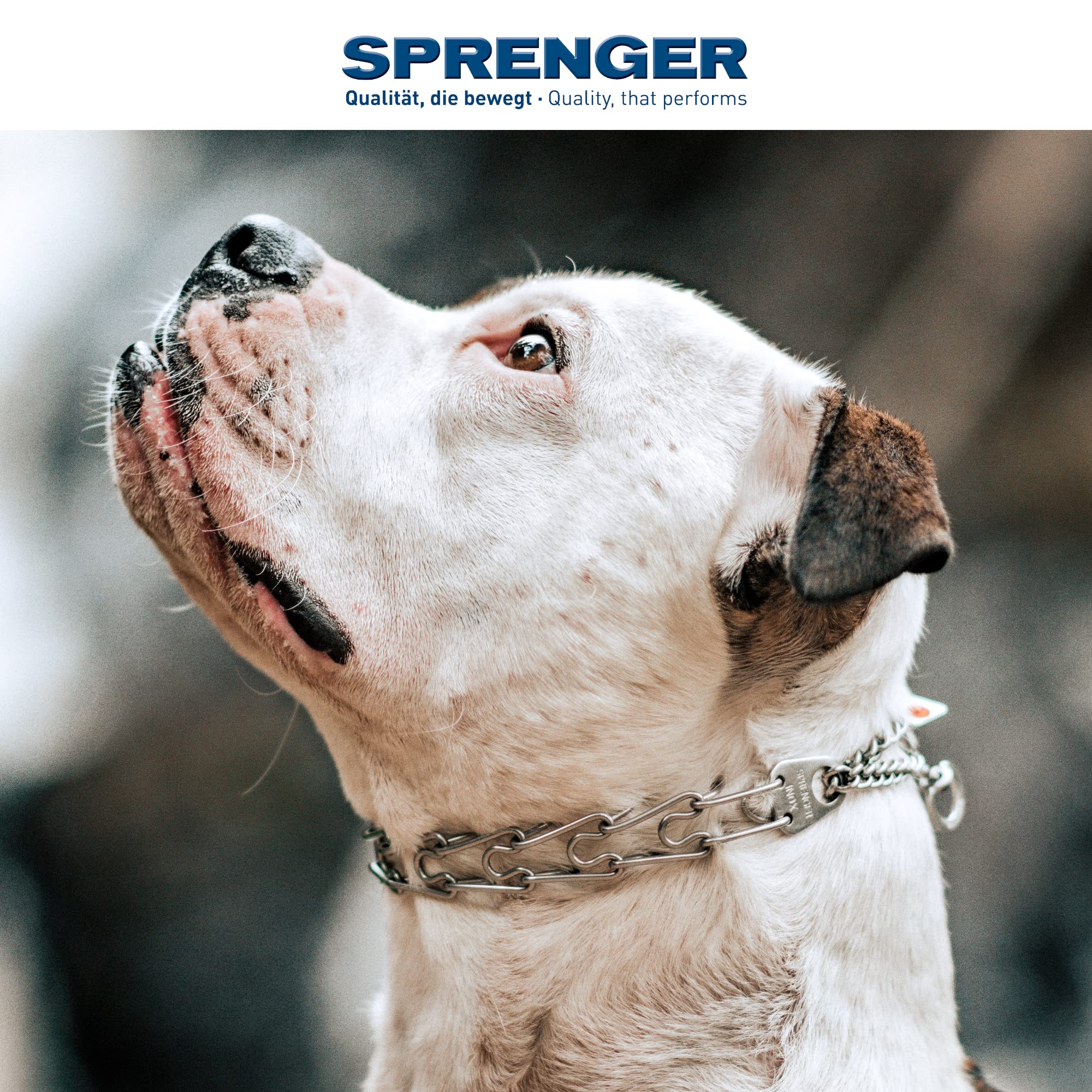 Herm Sprenger Stainless Steel Dog Collar With Swivel D-Ring, 3 Extra Links, 30 Comfort Tips For Small Medium Large Dogs Training