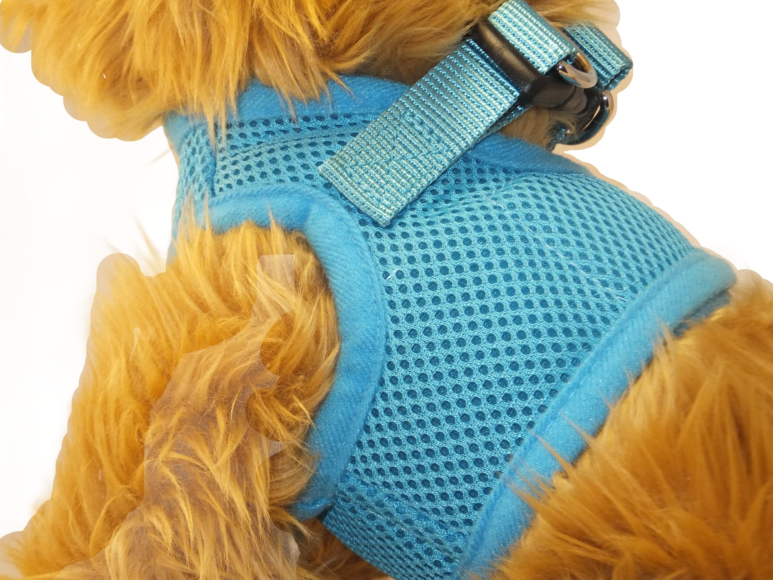 Snazzi Pet Teacup Dog Harness - Xxs Dog Harness - Soft Mesh Step In Dog Harness No Pull - Adjustable Dog Harness - Dog Harness Small Size Dog 2-25 Lbs Mini, Toy Yorkie (Blue, Xs 9.0'-11.5' 2-4 Lbs)