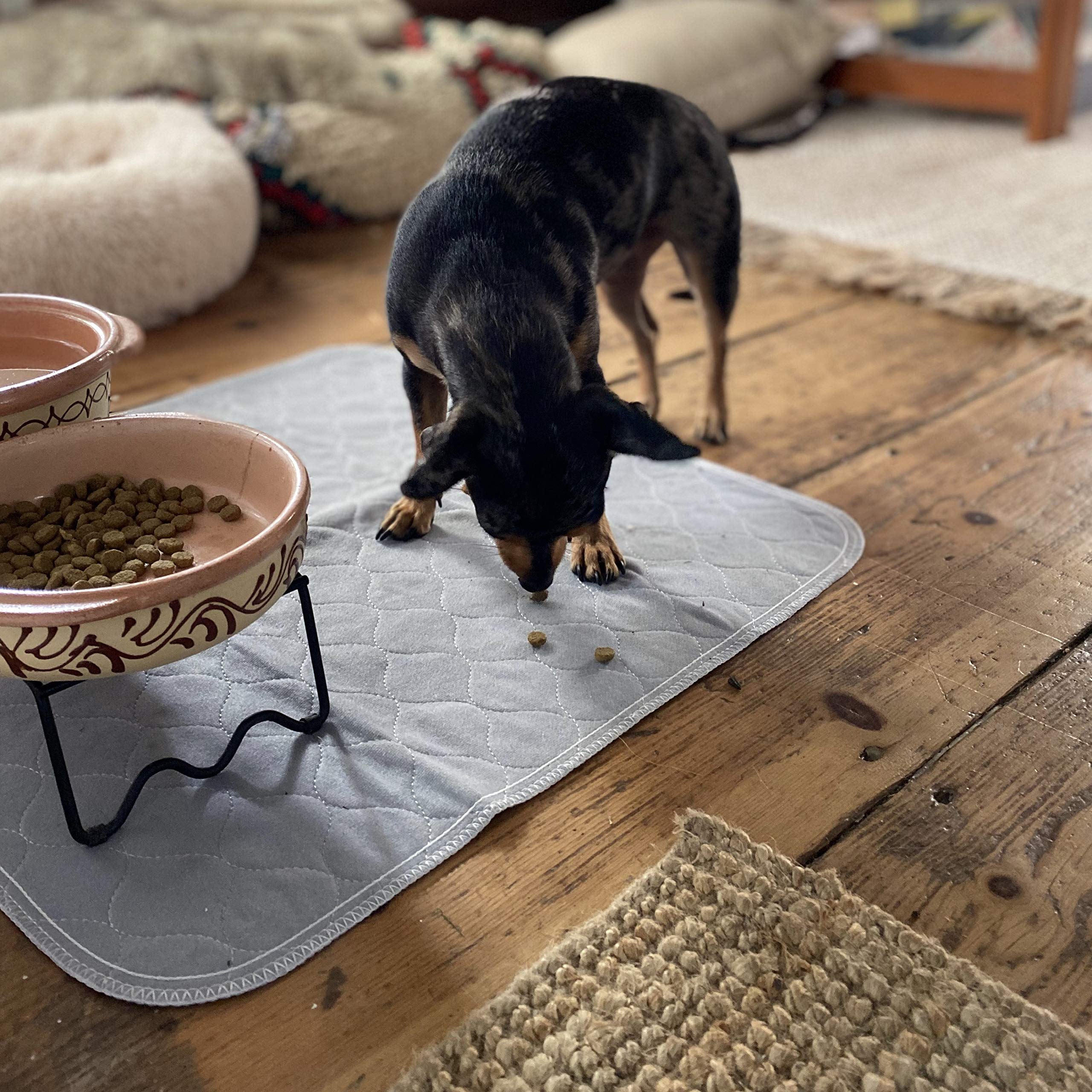 Rocket & Rex Washable Pee Pads For Dogs | Reusable Puppy Pads And Piddle Pads For Dogs | Waterproof, Absorbent, Easy Cleanup | Tons Of Uses In Home | Reduces Waste | Small - Medium Breeds