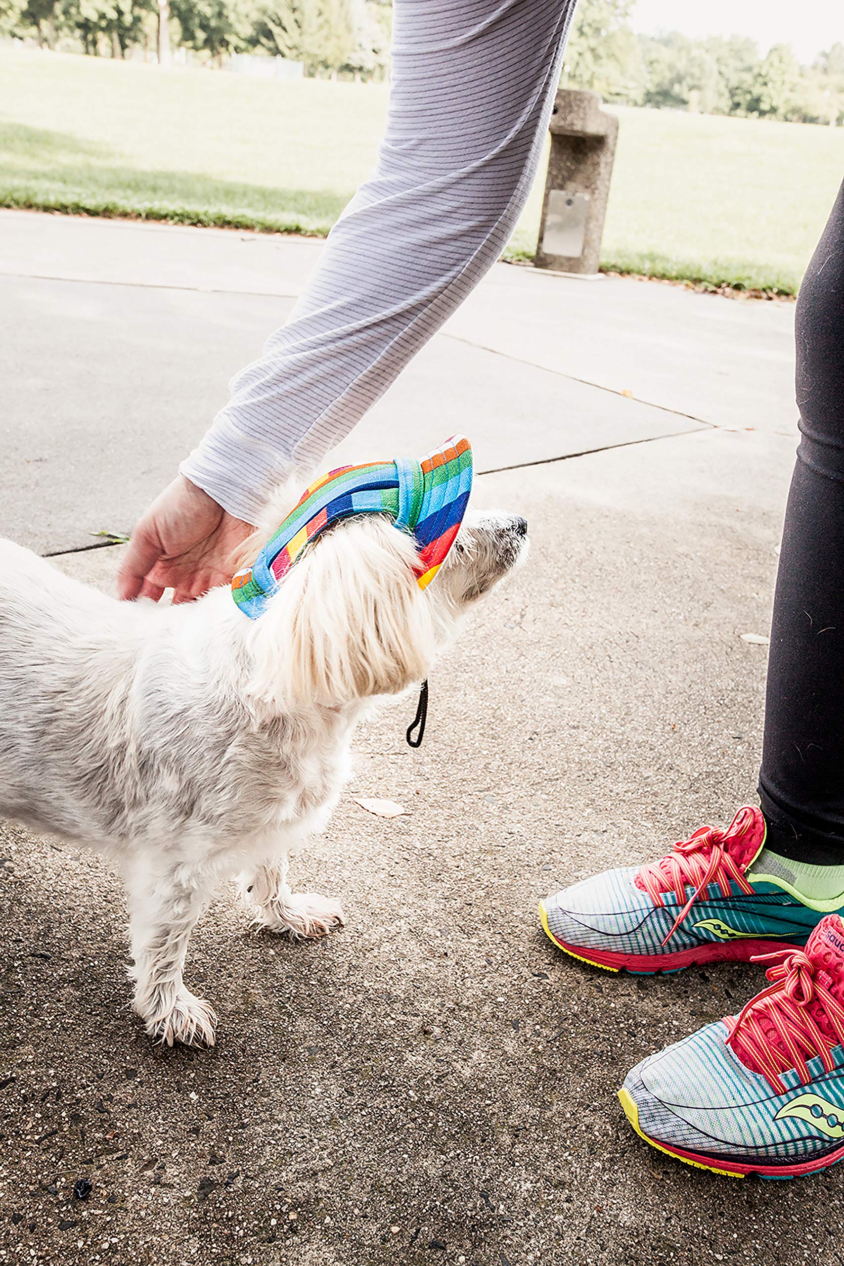Pet Life ® Colorfur Rainbow Dog Hat With Uv Coverage Protection - Brimmed Canopy Provides More Shade Than A Dog Banadana - Features Ear Holes And Adjustable Jaw-Strings - Great Worn With Dog Clothes