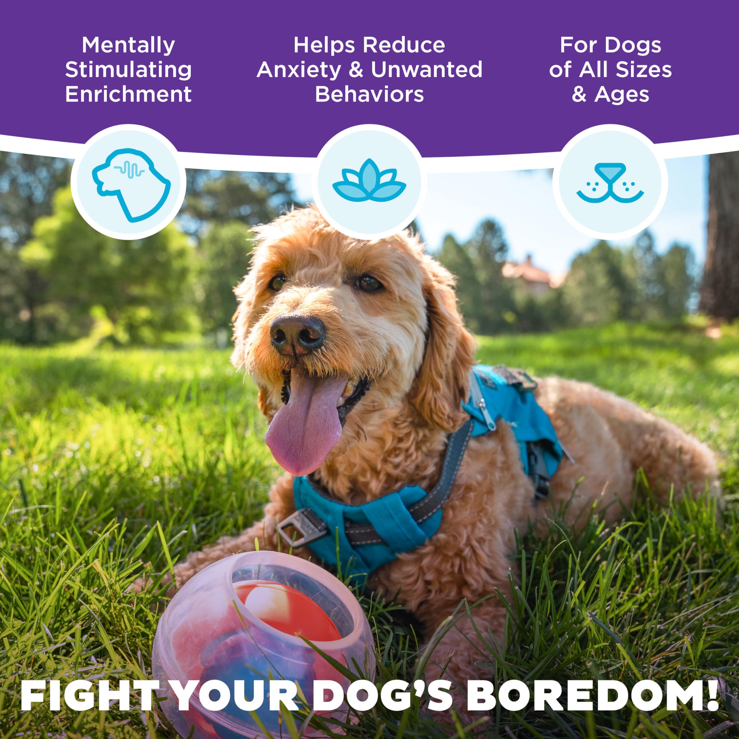 Outward Hound Nina Ottosson Dog Rumble Puzzle Interactive Dog Ball Puzzle & Treat Maze