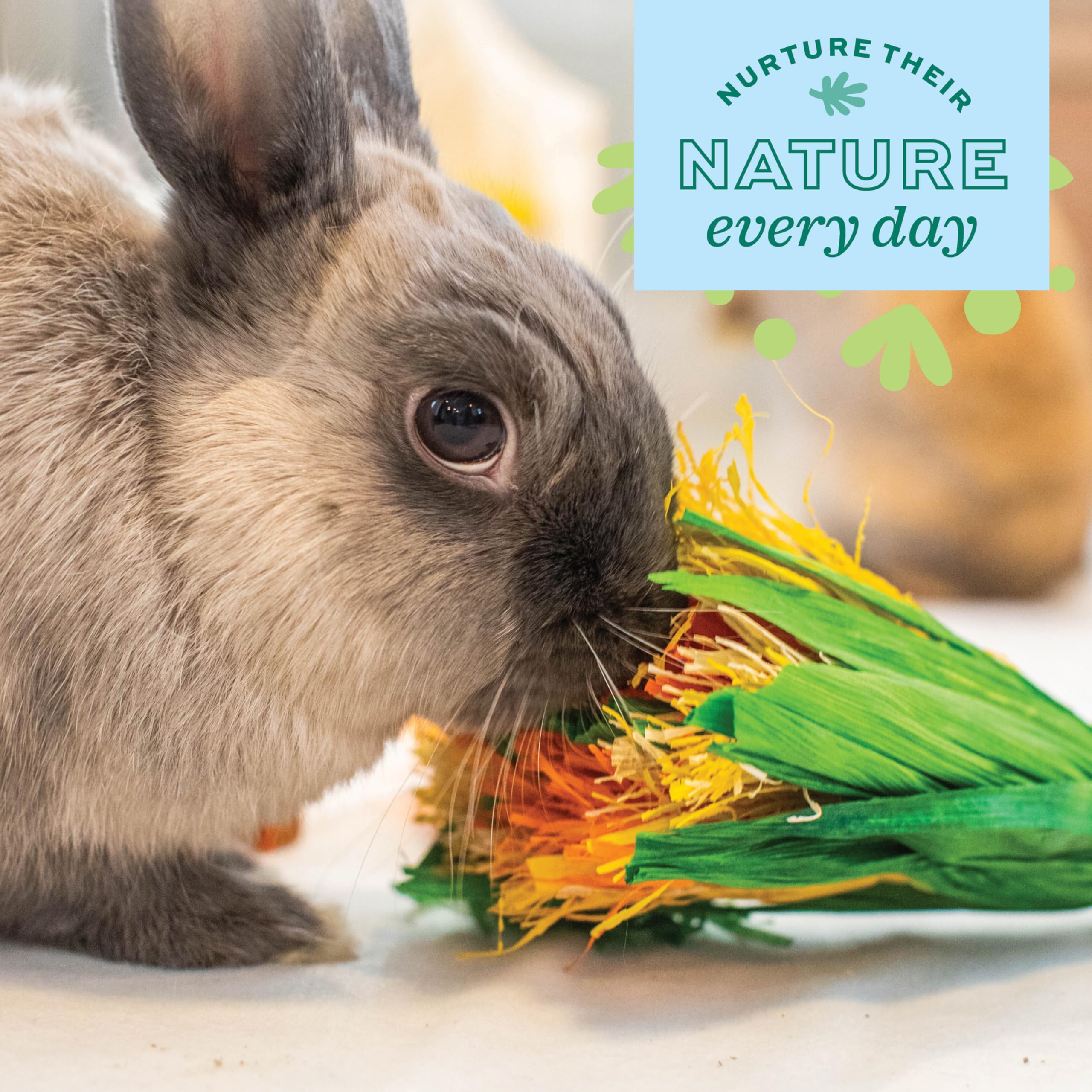 Oxbow Enriched Life Celebration Bouquet, Rabbit Toys, Guinea Pig Toys, Enrichment For Bunny, Hamster, Rabbit, Chinchilla, Rat, C