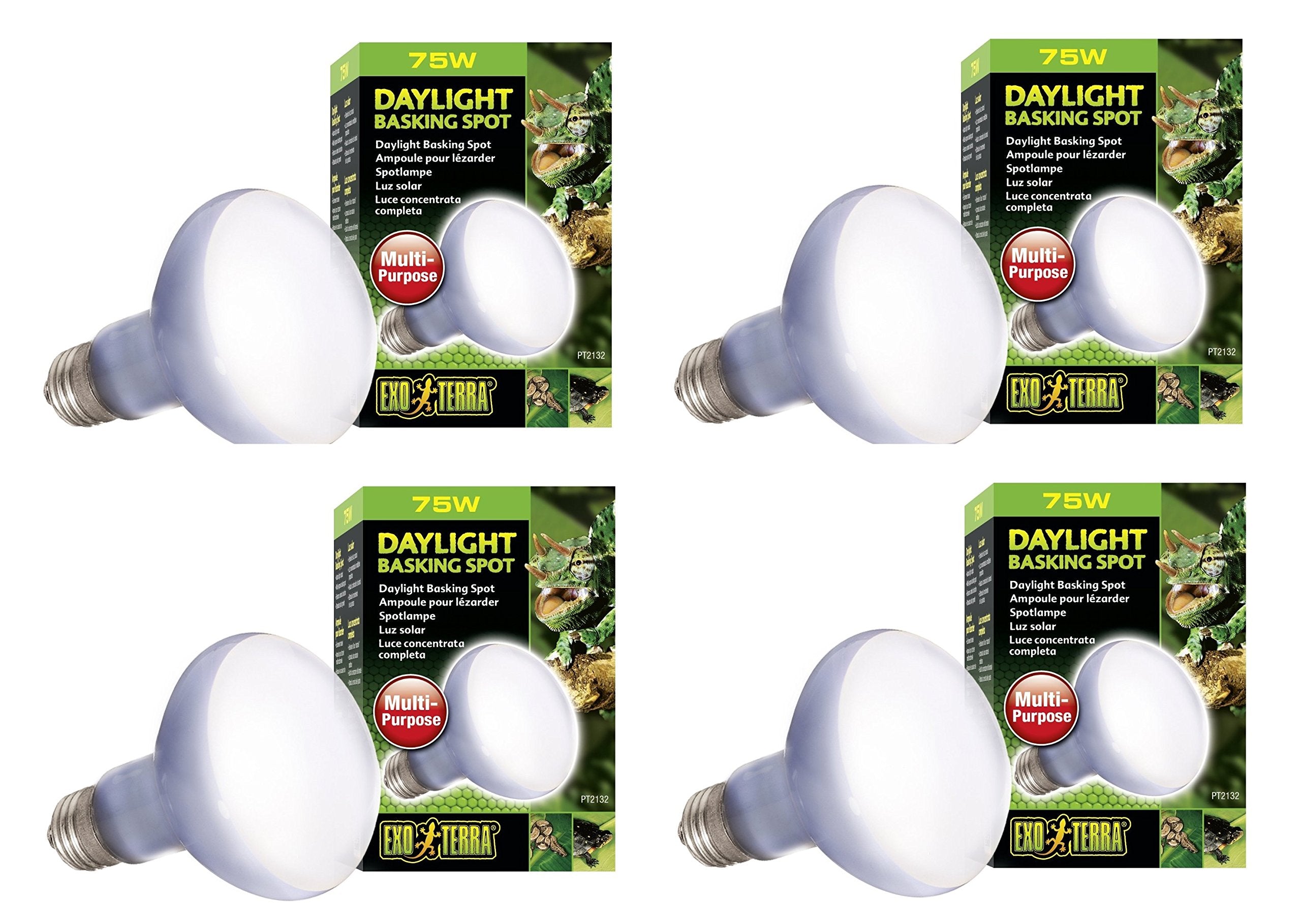 Exo Terra Daylight Basking Spot Lamp, 75W