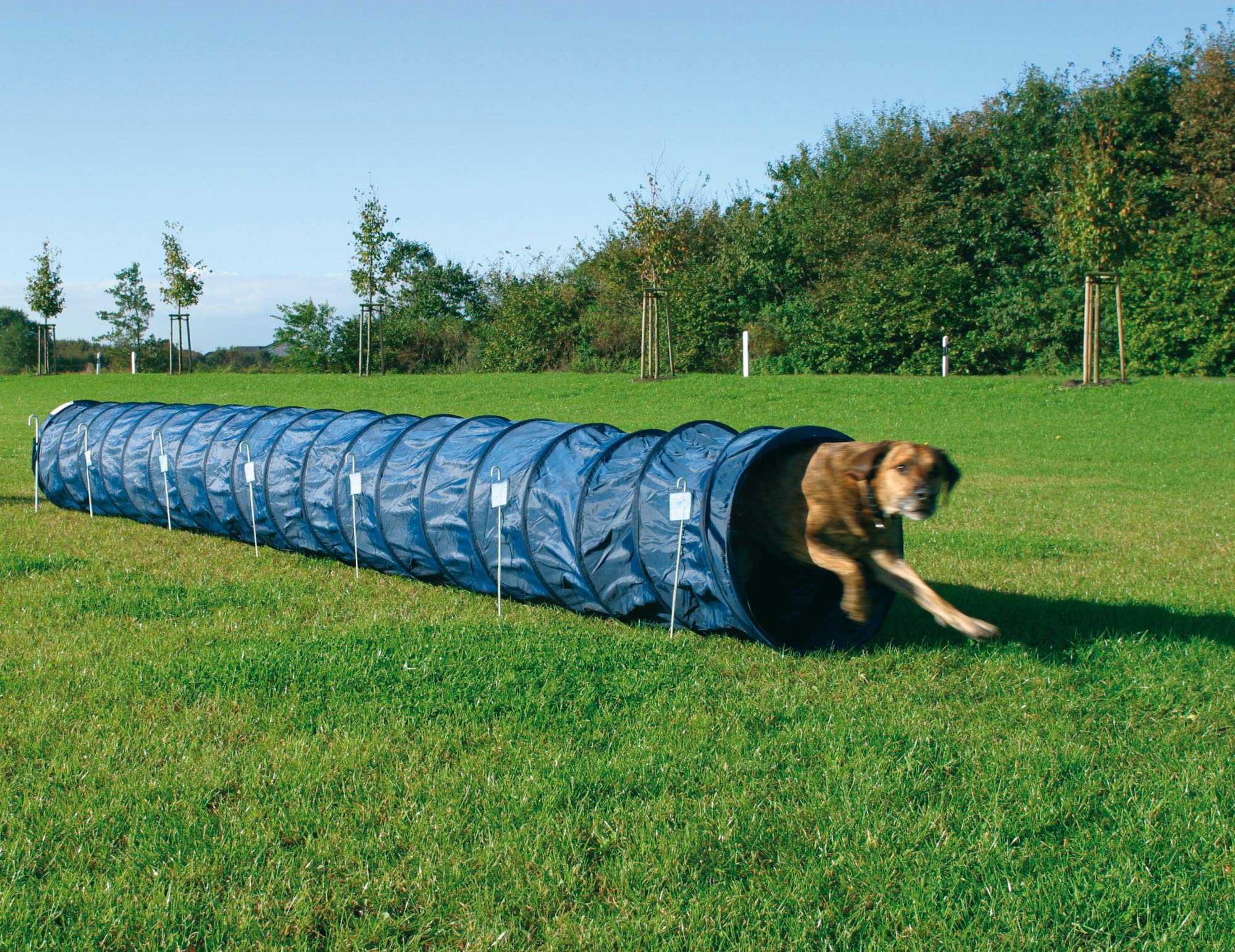 TRIXIE Dog Agility Tunnel - Portable 196.9" Long, 23.6" Diameter, Blue Polyester Training Equipment for Large Dogs, Model 3211