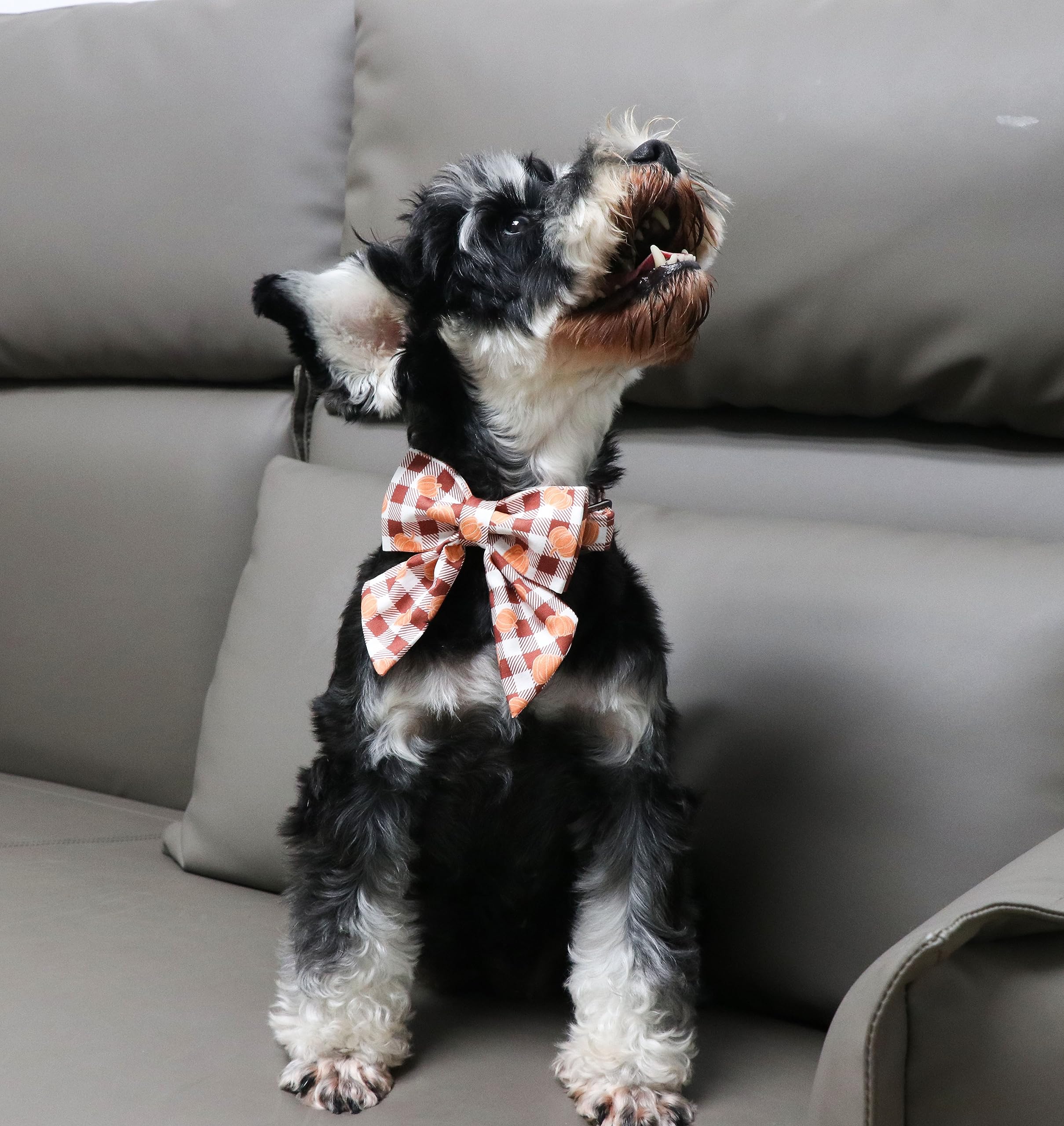 Unique Style Paws Cotton Dog Collar With Bow Halloween Pumpkin Plaid Dog Collar With Bow Tie For Small Medium Large Dogs Pets Gi