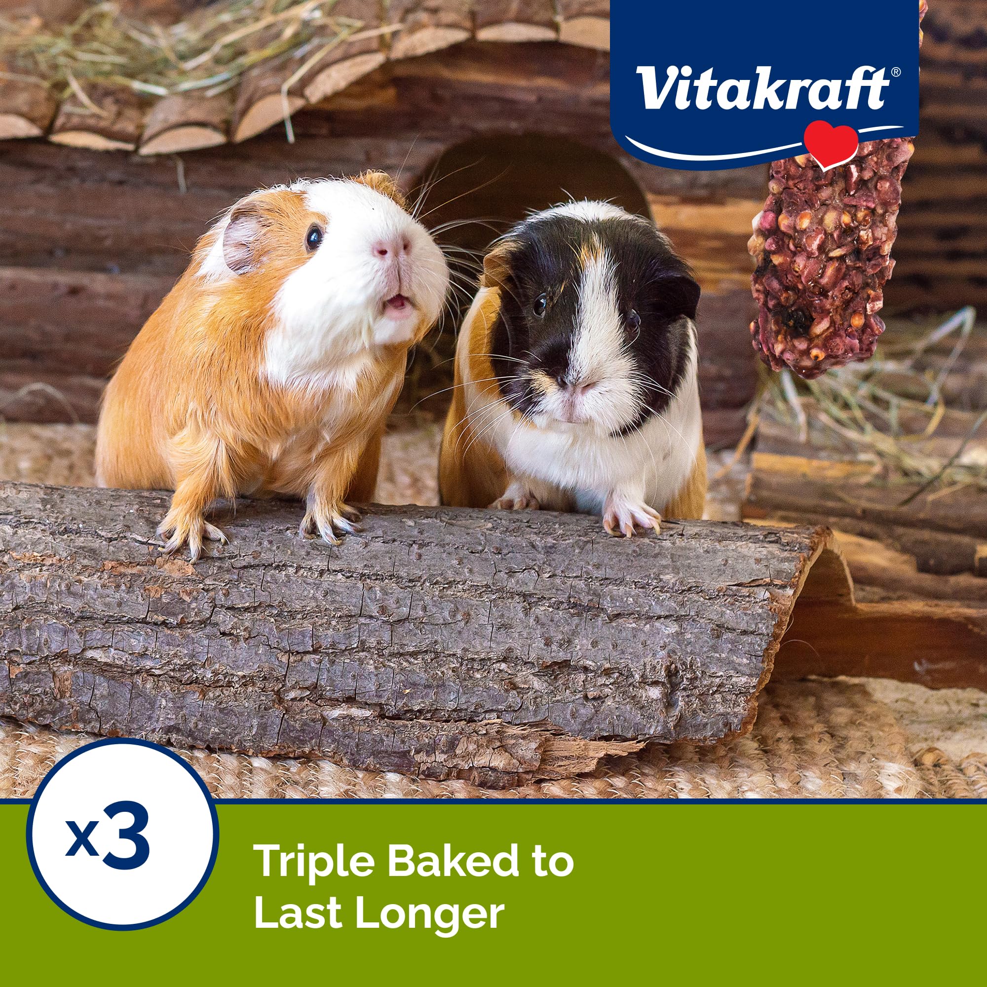 Vitakraft Crunch Sticks for Guinea Pigs - Chewable Treats with Grain & Honey, 1.25 oz (Pack of 2) - Supports Healthy Teeth