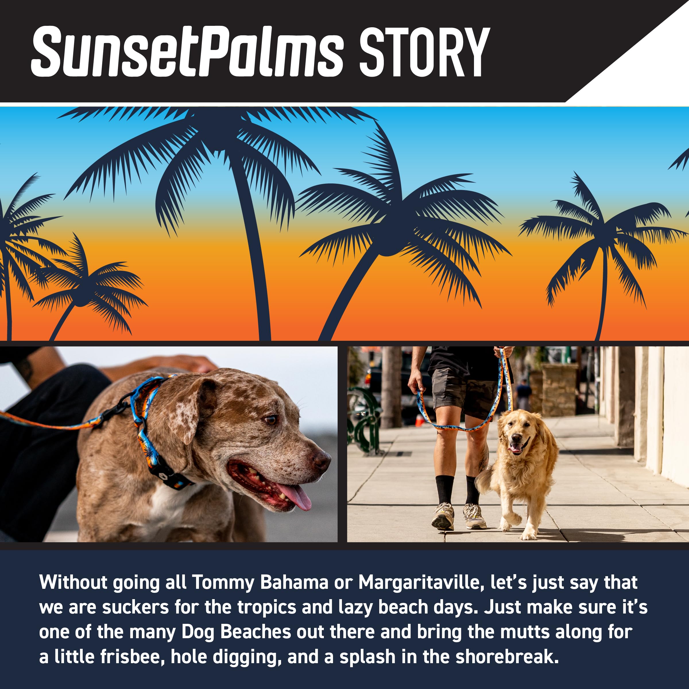 Wolfgang Heavy Duty, Adjustable Dog Collar with Quick Release Nylon Buckle for Walking & Training, SunsetPalms Print, Small