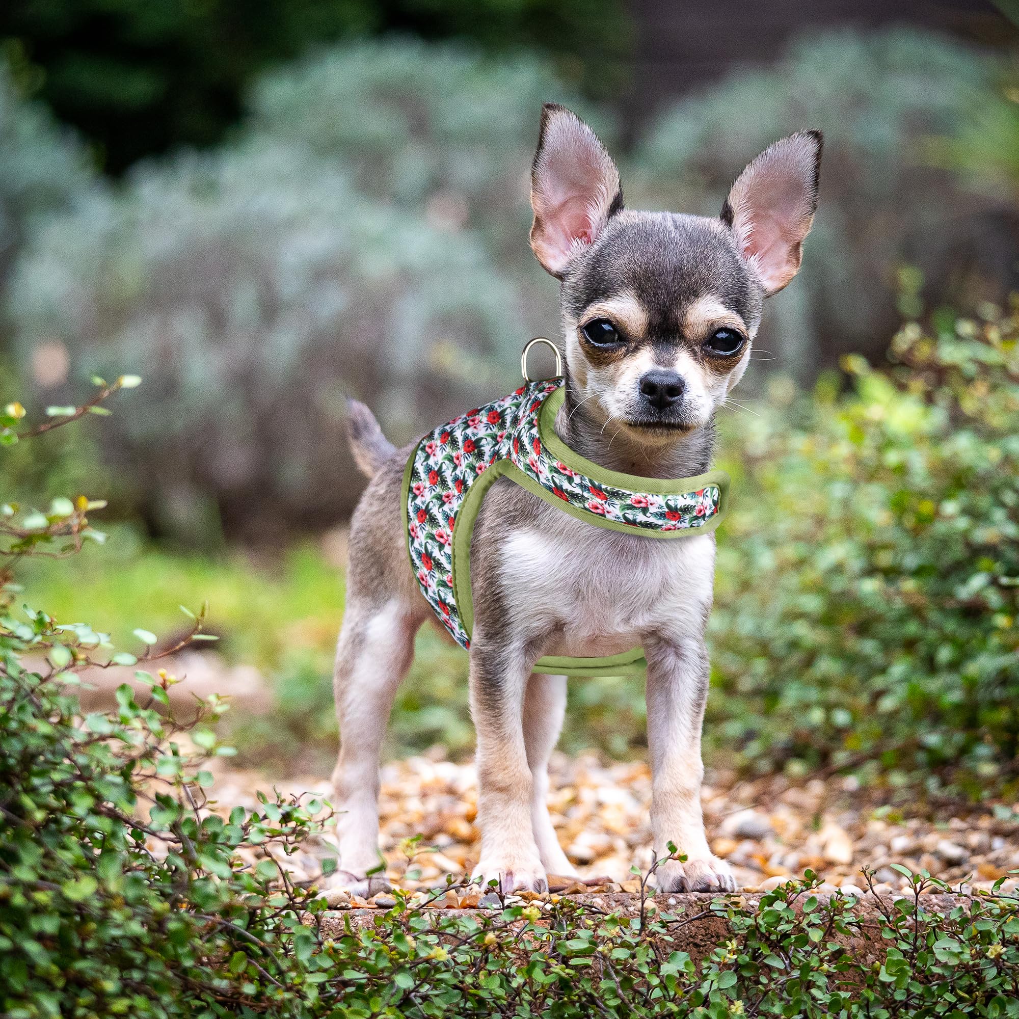 Mile High Life | Easy Get On Air Mesh Vest Harness | Spring Floral Collection | Adjustable Easy Closures Both Neck And Chest |20 Lbs Small Dogs & Cats | Wild Rose | Xs Chest Size (14'-16')