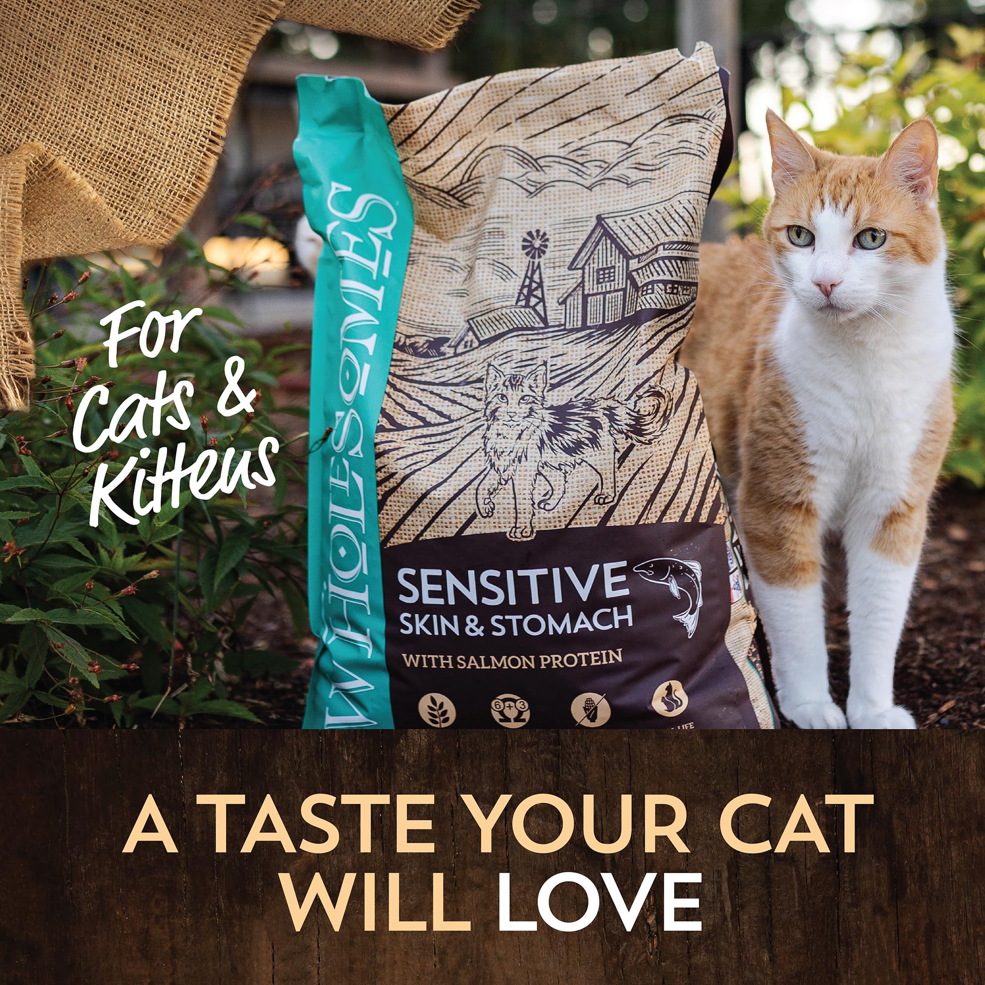 Wholesomes Sensitive Skin & Stomach with Salmon Protein & Ancient Grains Dry Food for Cats & Kittens (10 lb. Bag)