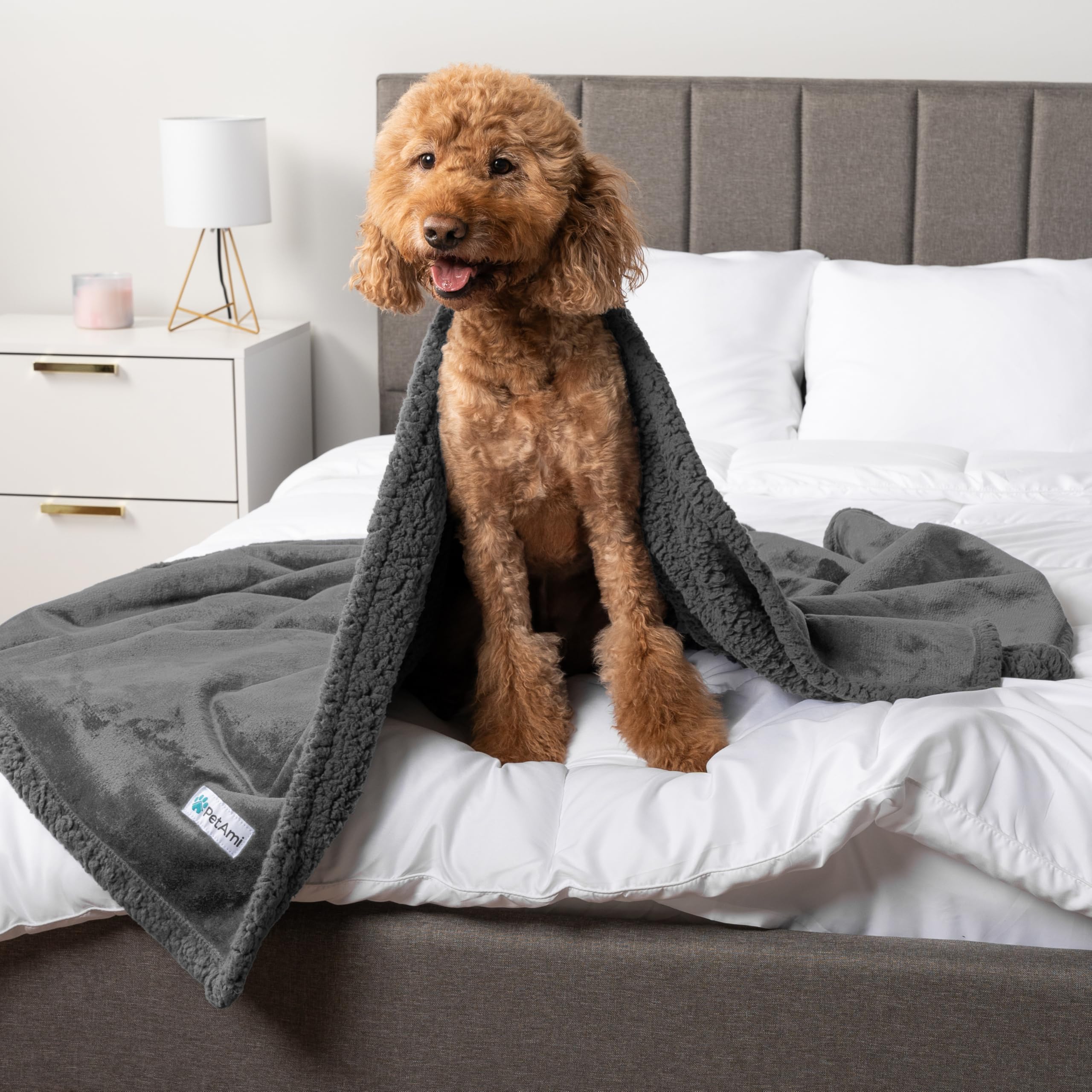 Petami Waterproof Dog Blanket For Small Medium Dog, Pet Puppy Blanket Couch Cover Protection, Sherpa Fleece Cat Blanket Couch Sofa Bed Furniture Protector Reversible Soft Washable 29X40 Grey Grey