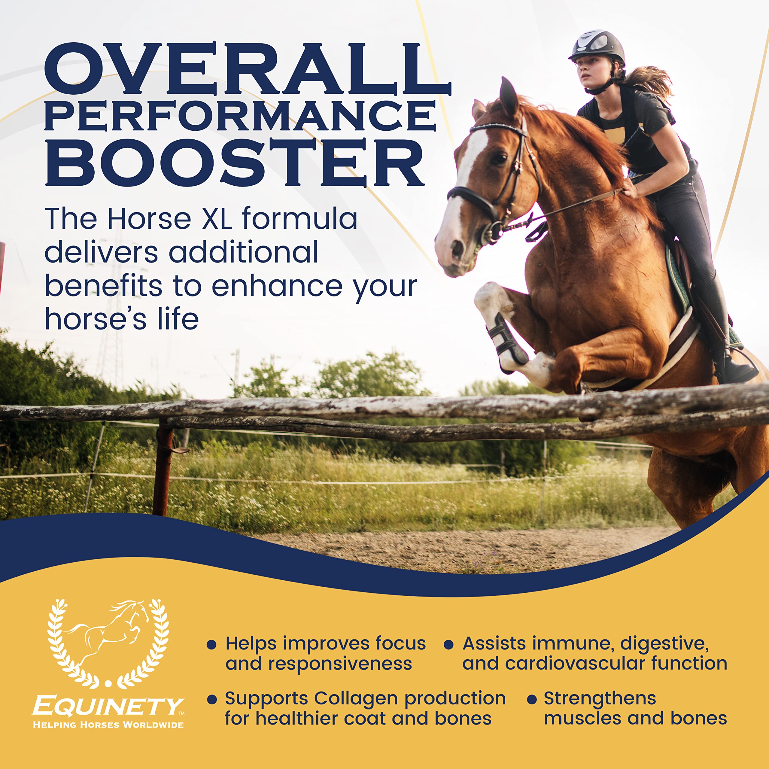 100-Day Supply Horse XL Horse Supplements - Horse Care W/ 8 Essential Amino Acids to Promote Cellular Repair - No Soy or Sugar C