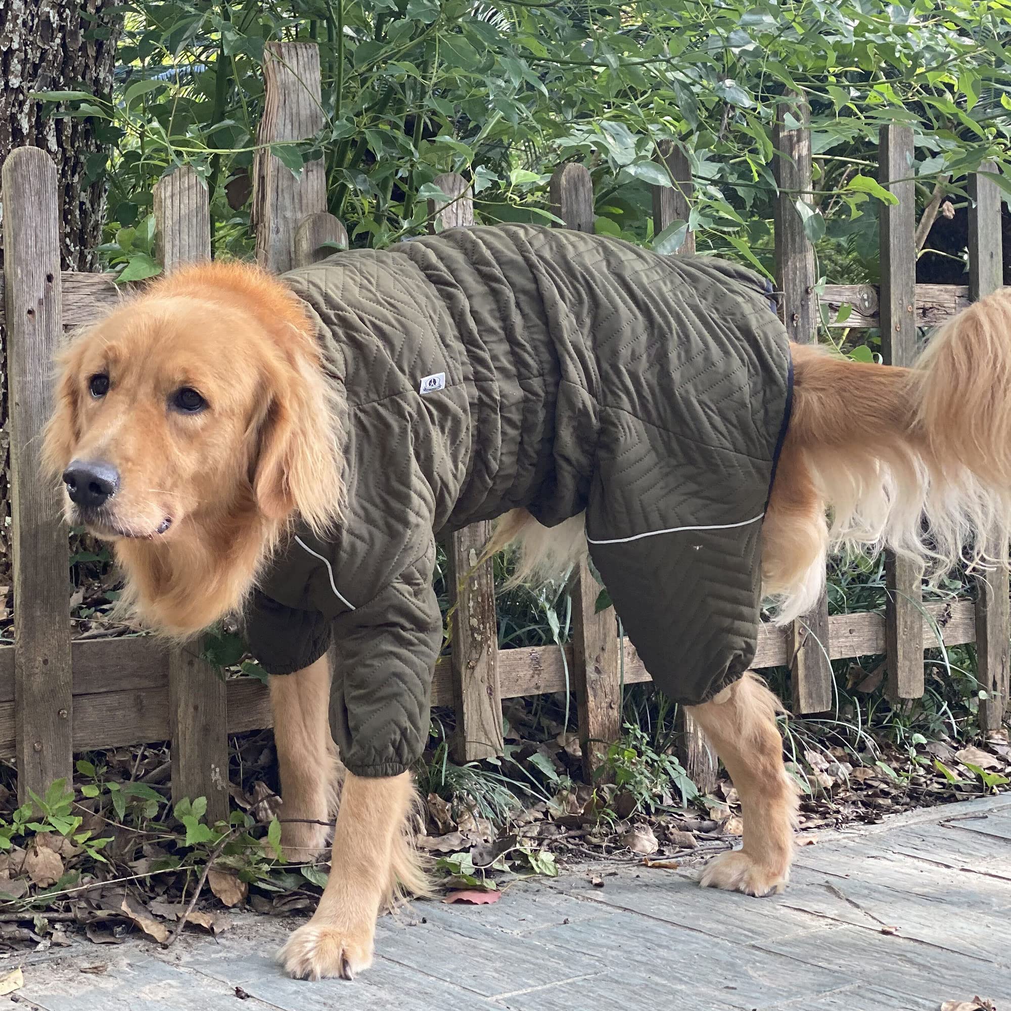 Warm Dog Coat Double Layers Dog Vest, 4 Legs Covered Windproof Waterproof Reflective, Olive 4Xl