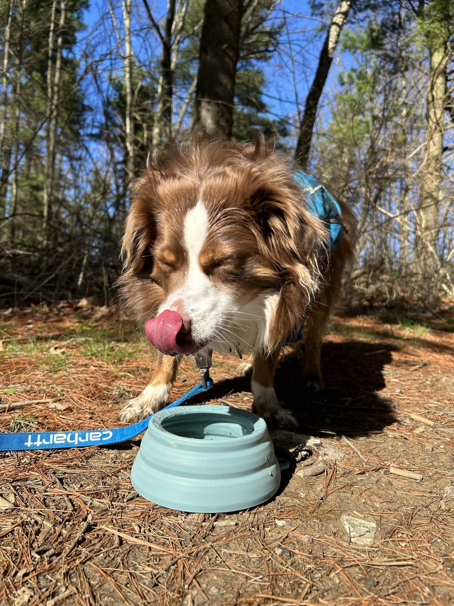 Ohmo-Collapsible Dog Water Bowl No Spill From Car Movement(24Oz Medium, Camo Green), Travel Dog Bowls, Less Splash Portable Pet Bowl For Road Trip, Cat Travel Accessories