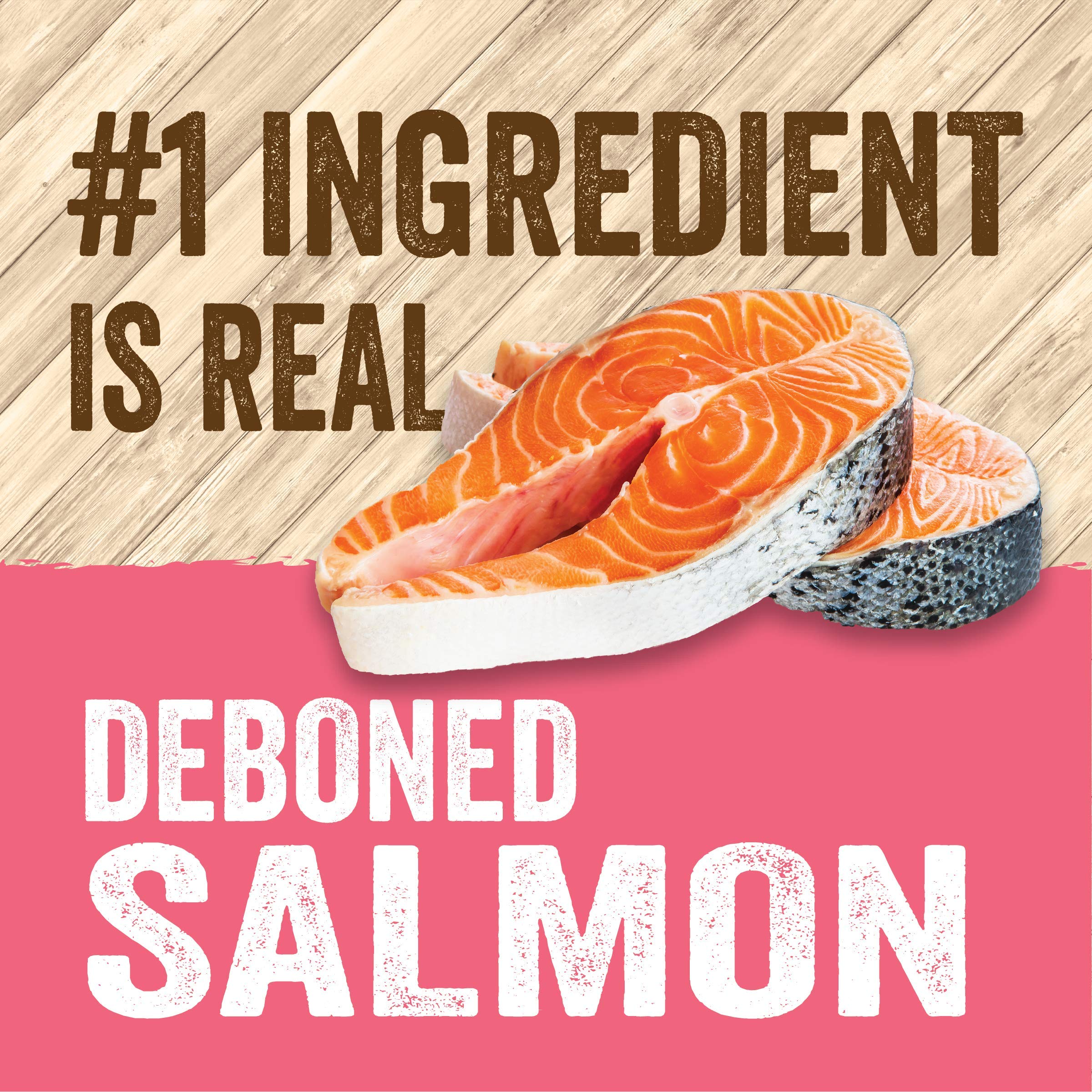 Evolve Classic Cat Food - Deboned Salmon, Brown Rice & Sweet Potato, 14lb, Seafood Flavor