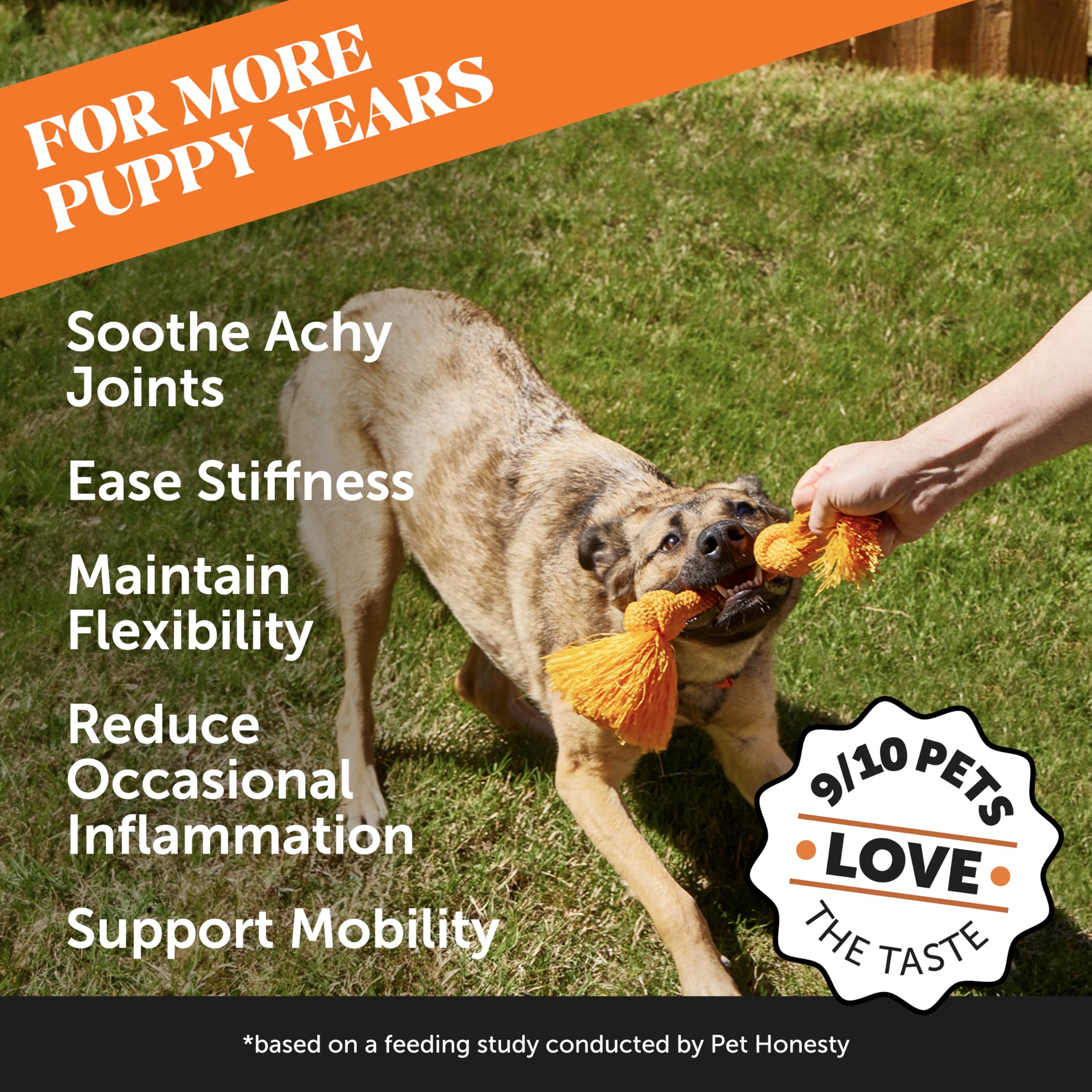 Hemp Hip & Joint Supplement for Dogs - Hemp Oil & Powder - Glucosamine Chondroitin for Dogs, Turmeric, MSM, Green-Lipped Mussel,