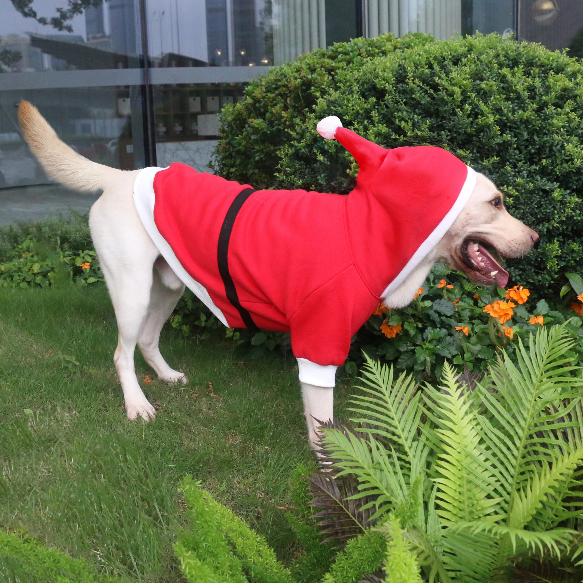Arunners Santa Claus Father Christmas Costumes Clothes For Extra Large Dogs Hoodies Labrador Rottweiler Great Dane, Red, 3X-Larg