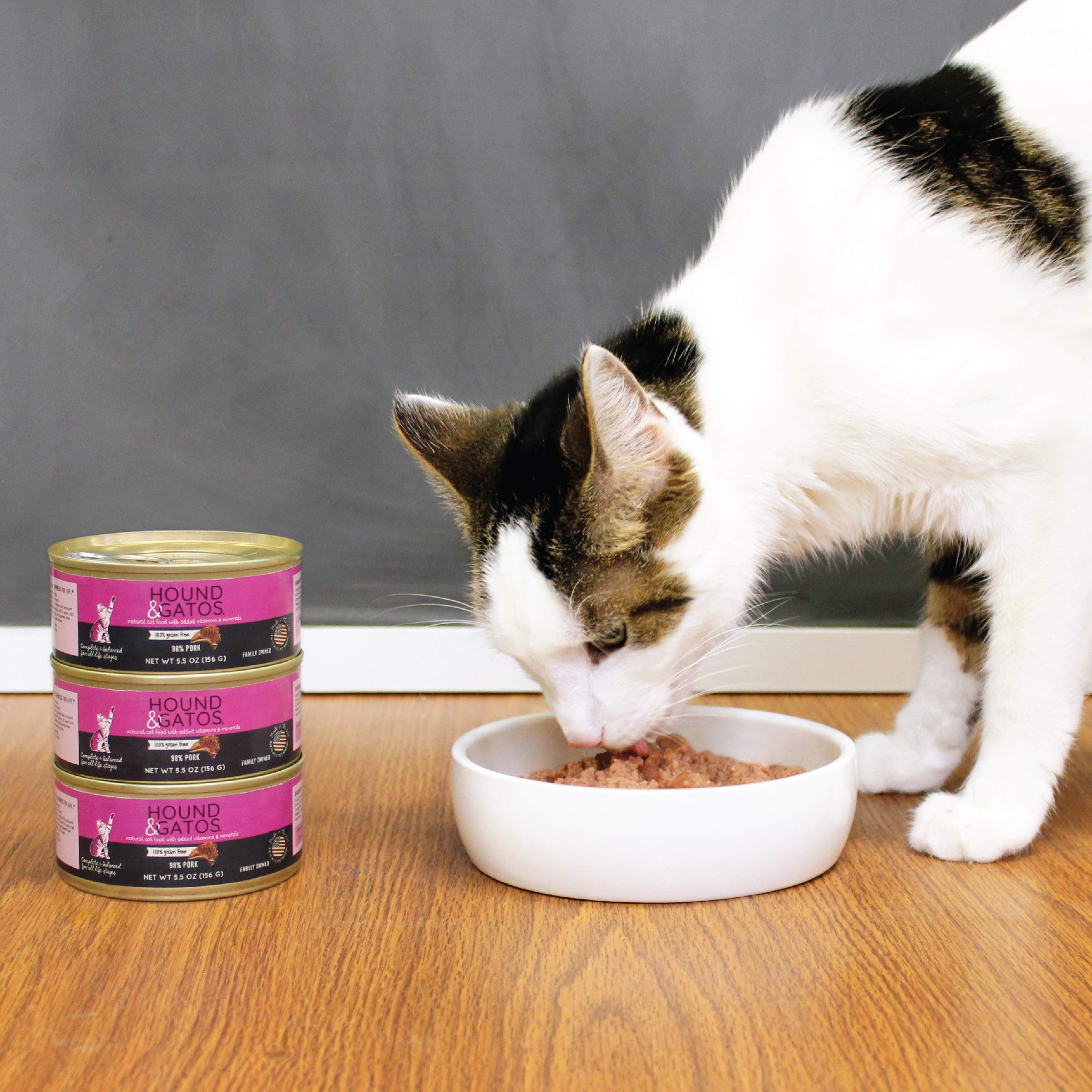 Hound & Gatos Wet Cat Food, 98% Pork, Grain Free Pate Cat Food, Real Meat, High Protein, Limited Ingredients, No Additives, 5.5