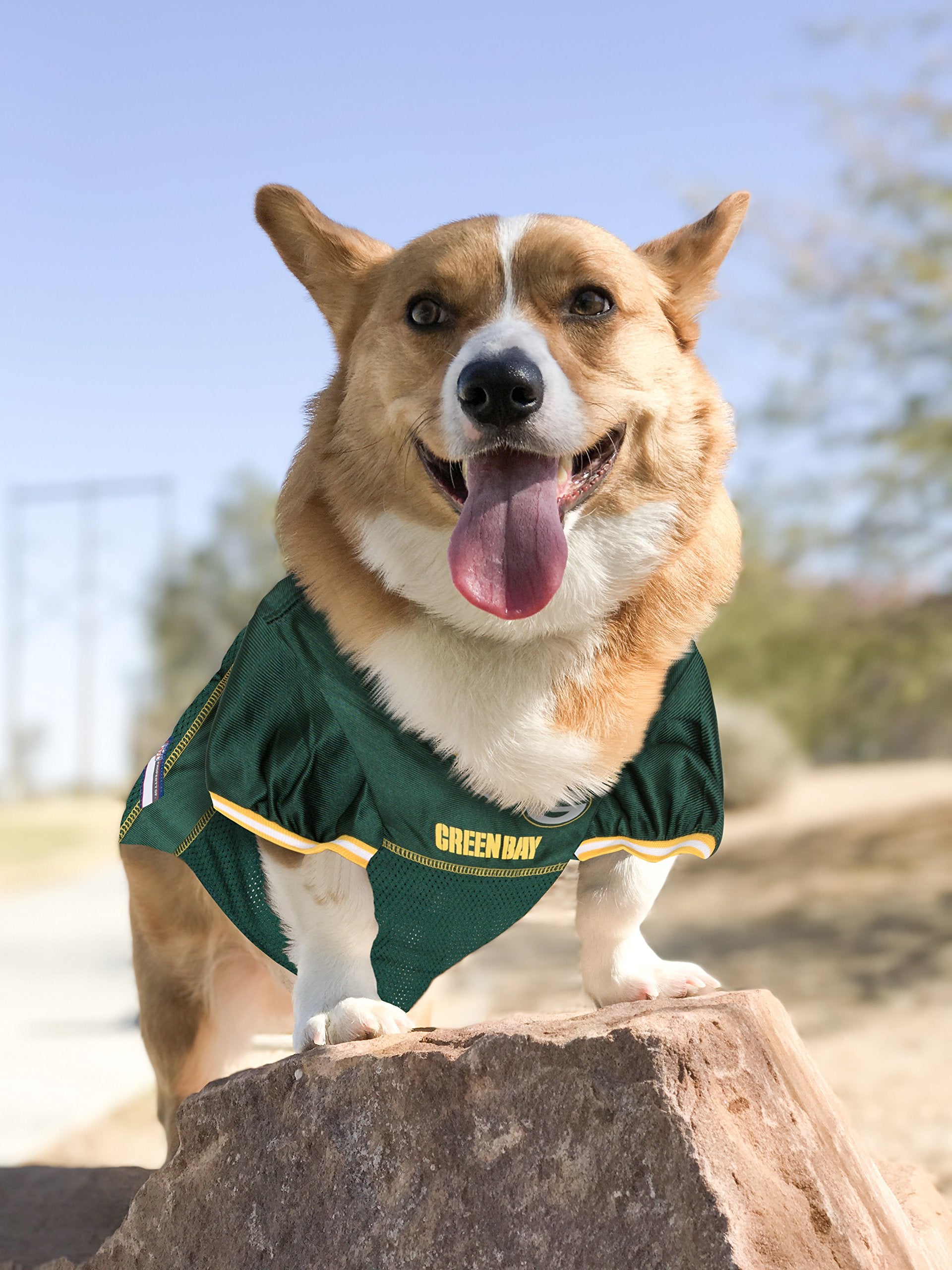 Nfl Green Bay Packers Dog Jersey, Size: Xx-Large. Best Football Jersey Costume For Dogs & Cats. Licensed Jersey Shirt.