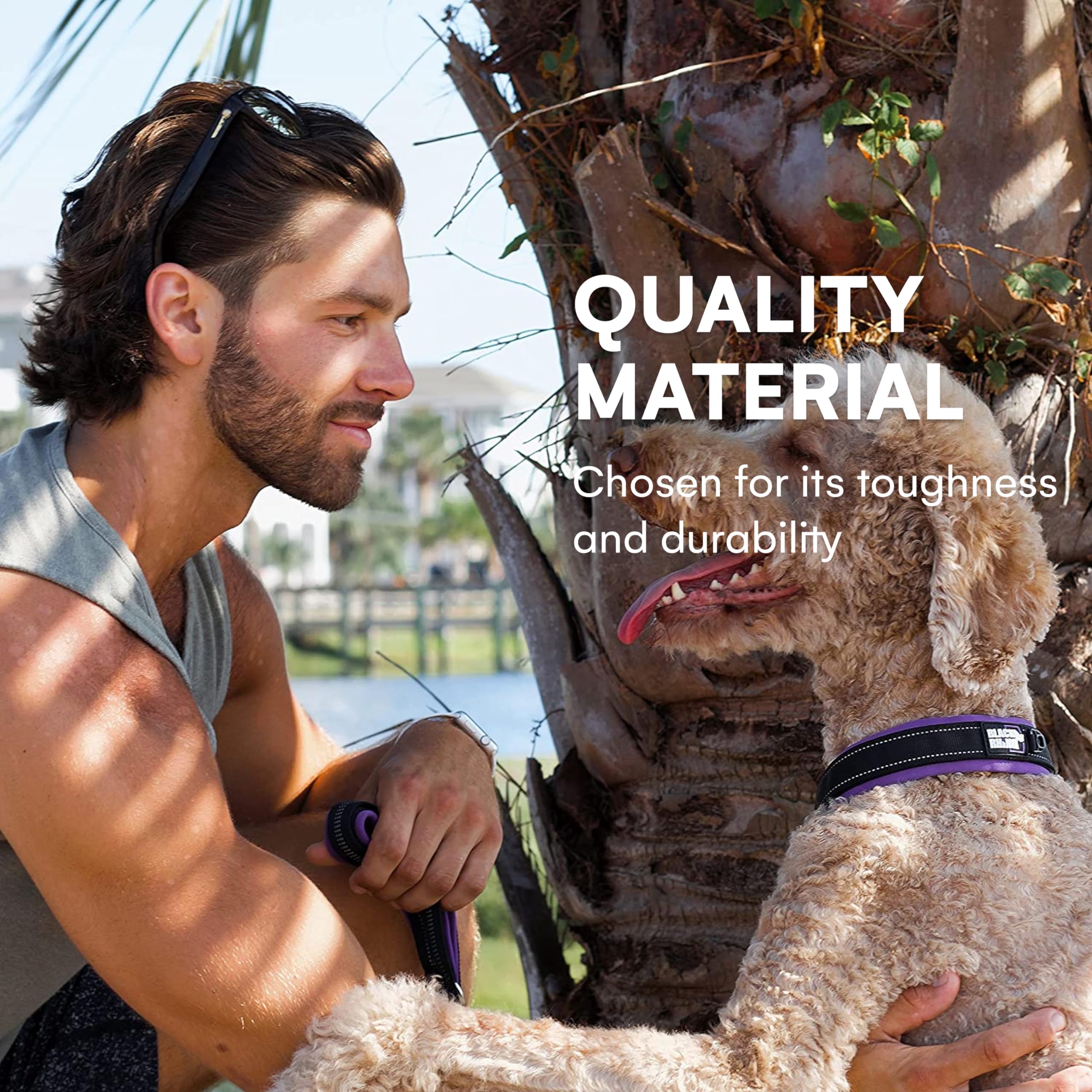 Black Rhino - The Comfort Collar Ultra Soft Neoprene Padded Dog Collar For All Breeds - Heavy Duty Adjustable Reflective Weatherproof (Xlarge, Purple/Bl)