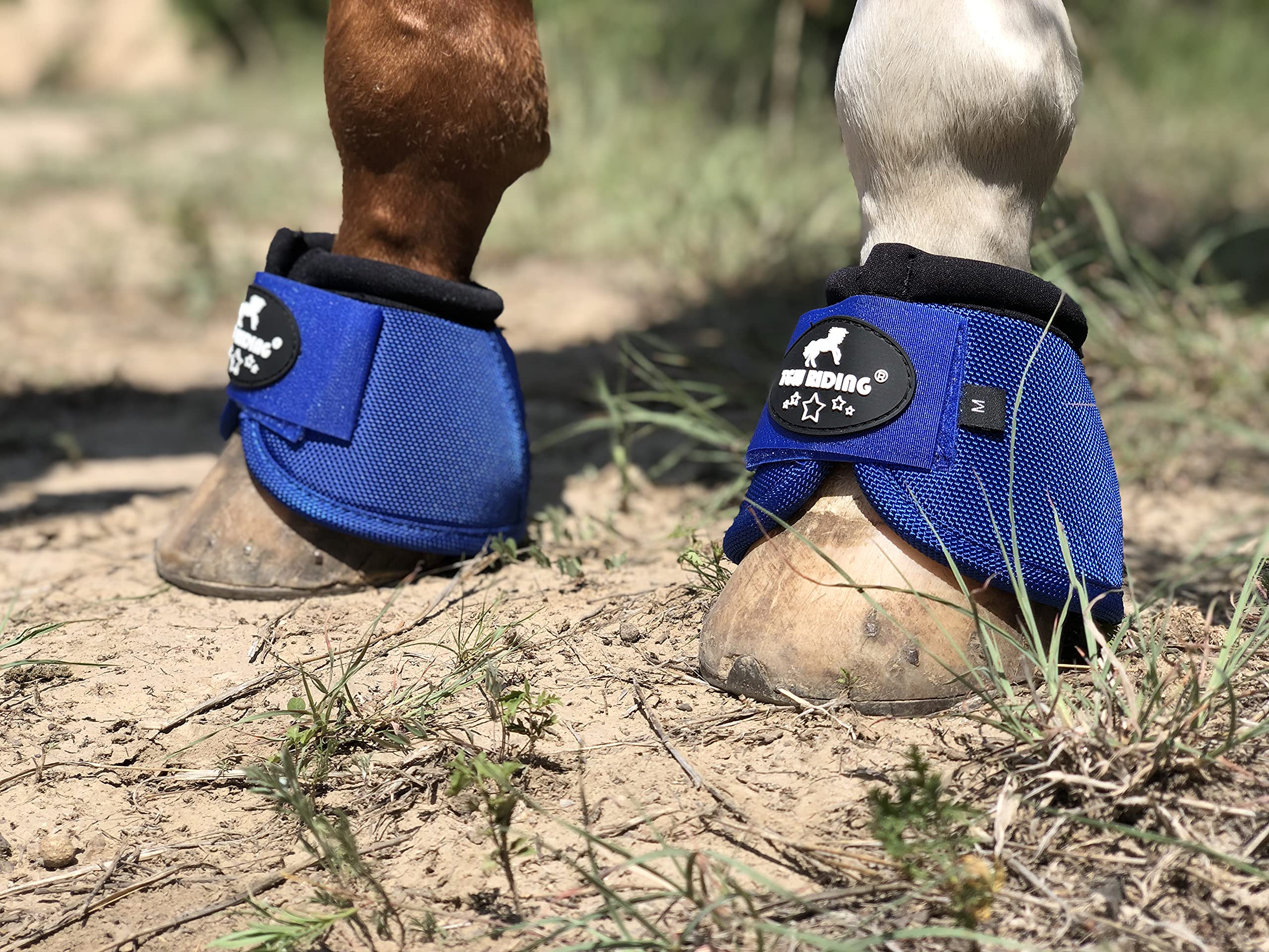 Tgw Riding 2520D Horse Bell Boots No-Turn Horse Bell Boots, Equine Ballistic Hoof Overreach Bell Boot, Pair (Royal Blue, S)