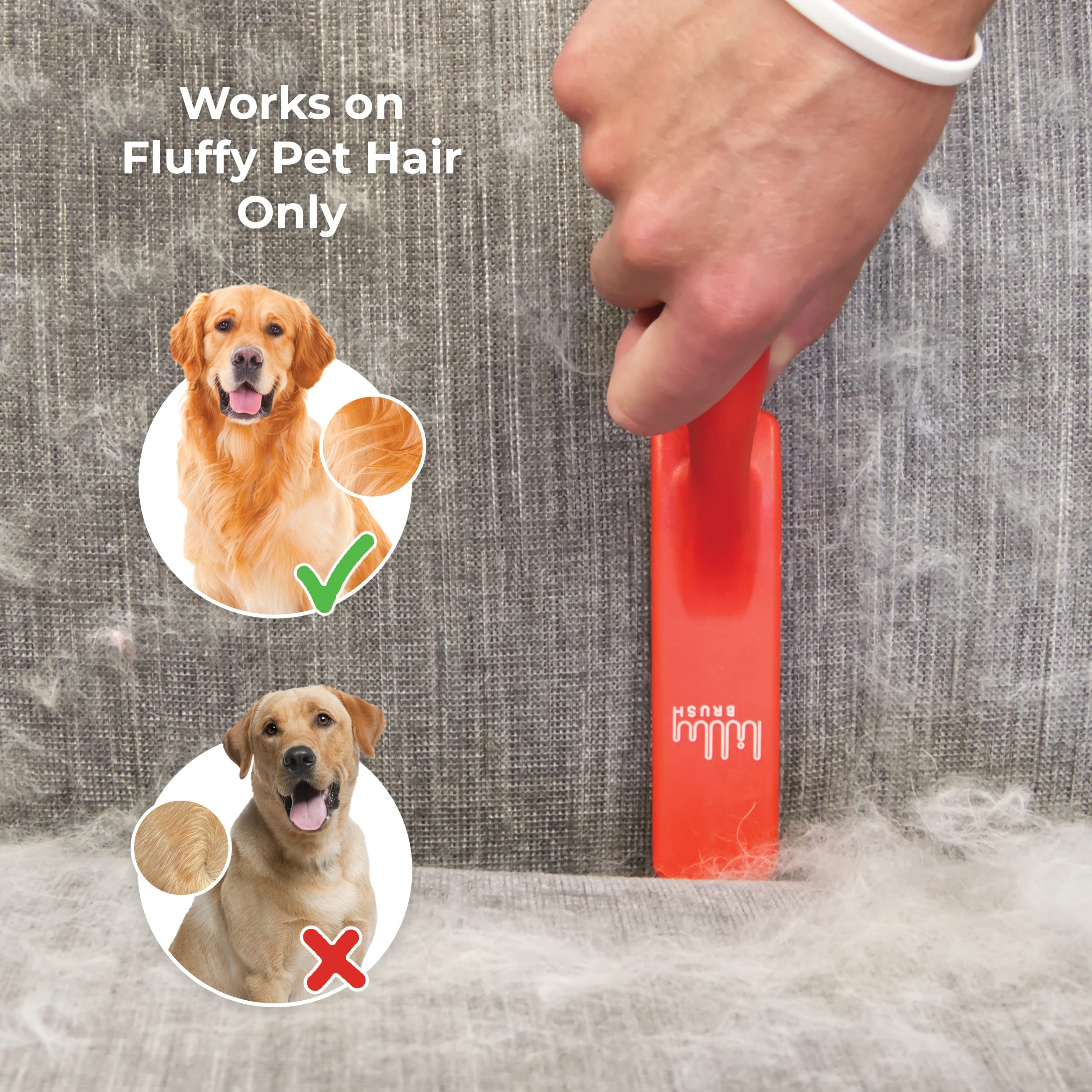 Lilly Brush Forever Furless Pet Hair Remover Brush | Gentle Bristled Cat & Dog Hair Remover Brush For Home, Auto Car Detailing S