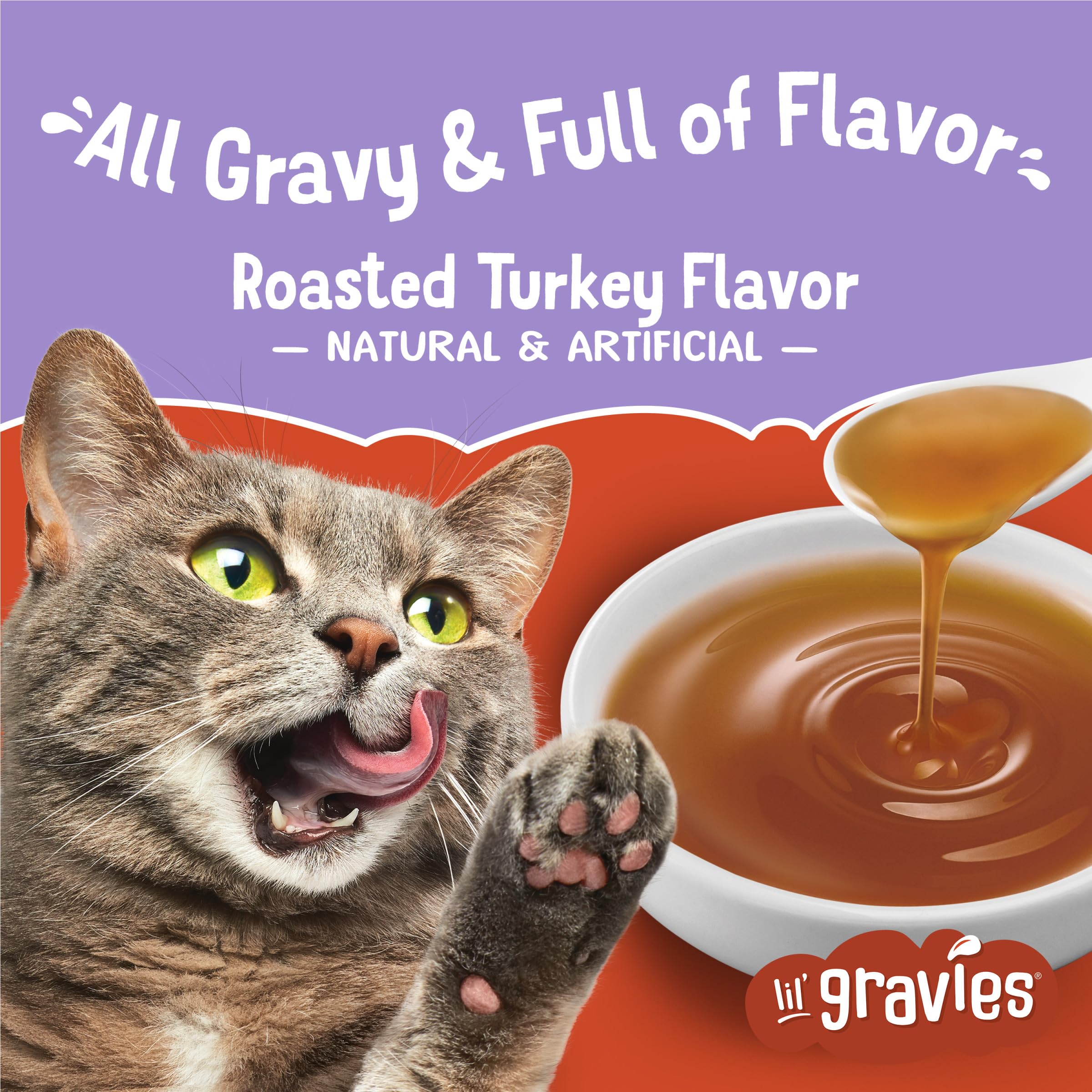 Friskies Lil' Gravies Roasted Turkey Flavor Cat Treats, 1.55 oz Pouches, Pack of 16