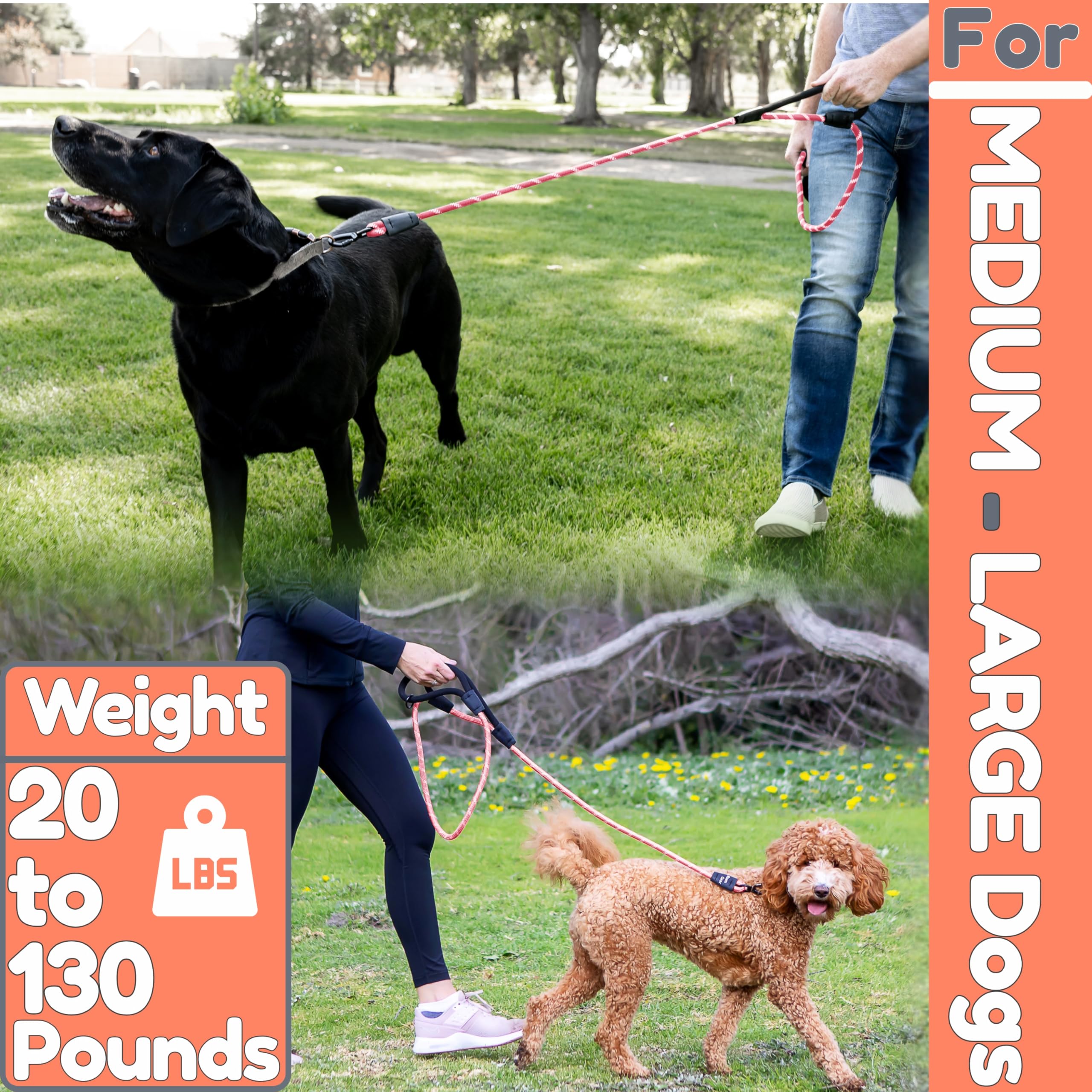 6 Foot Dog Leash, Two Extra Padded Handles, Heavy Duty Dog Leash for Medium to Large Pets, Highly Reflective, Shock-Absorbing No
