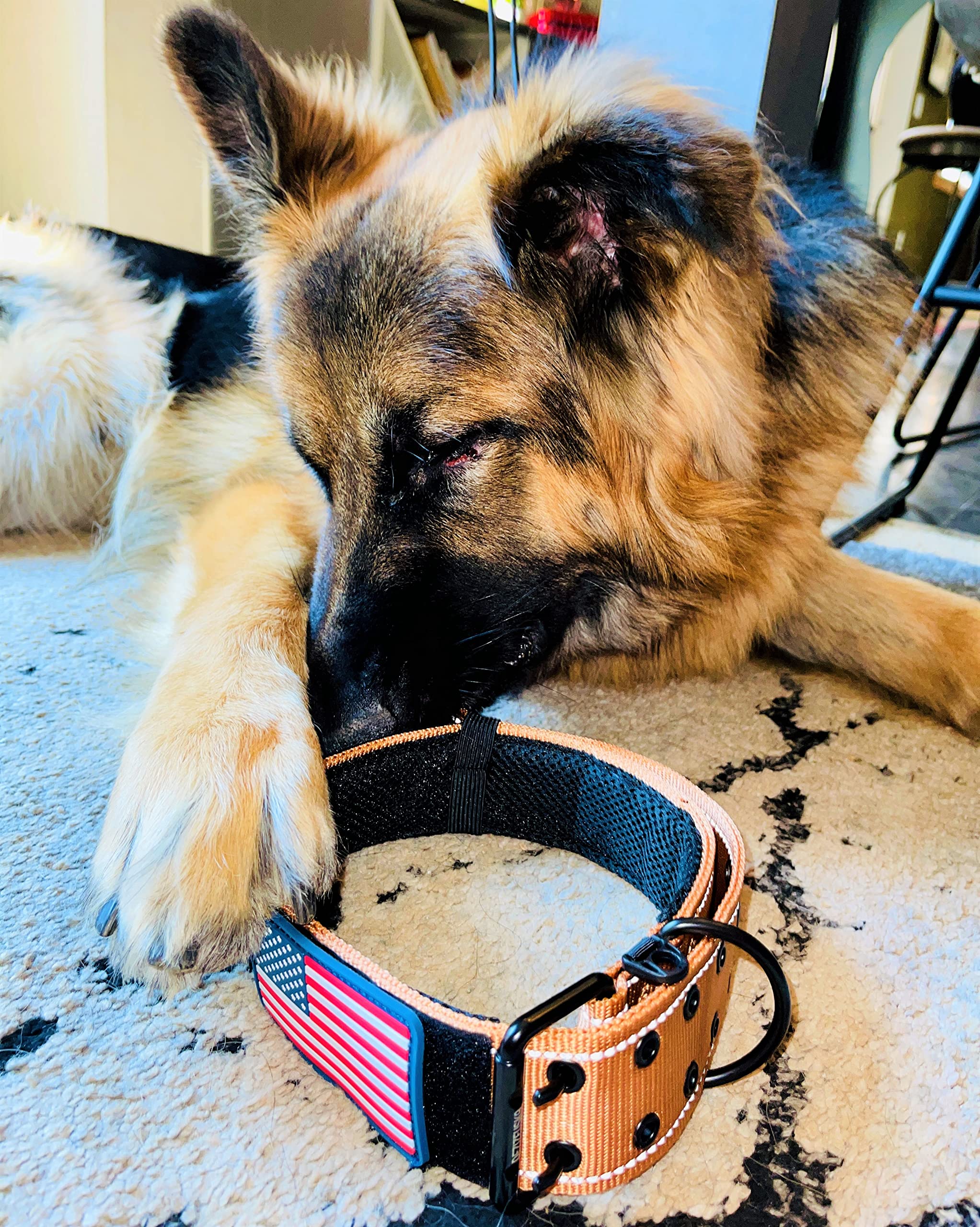 2 Personalized Tactical Dog Collar - Wide Thick Military Style with Strong Belt Buckle Closure - American Flag Patch - Reflectiv