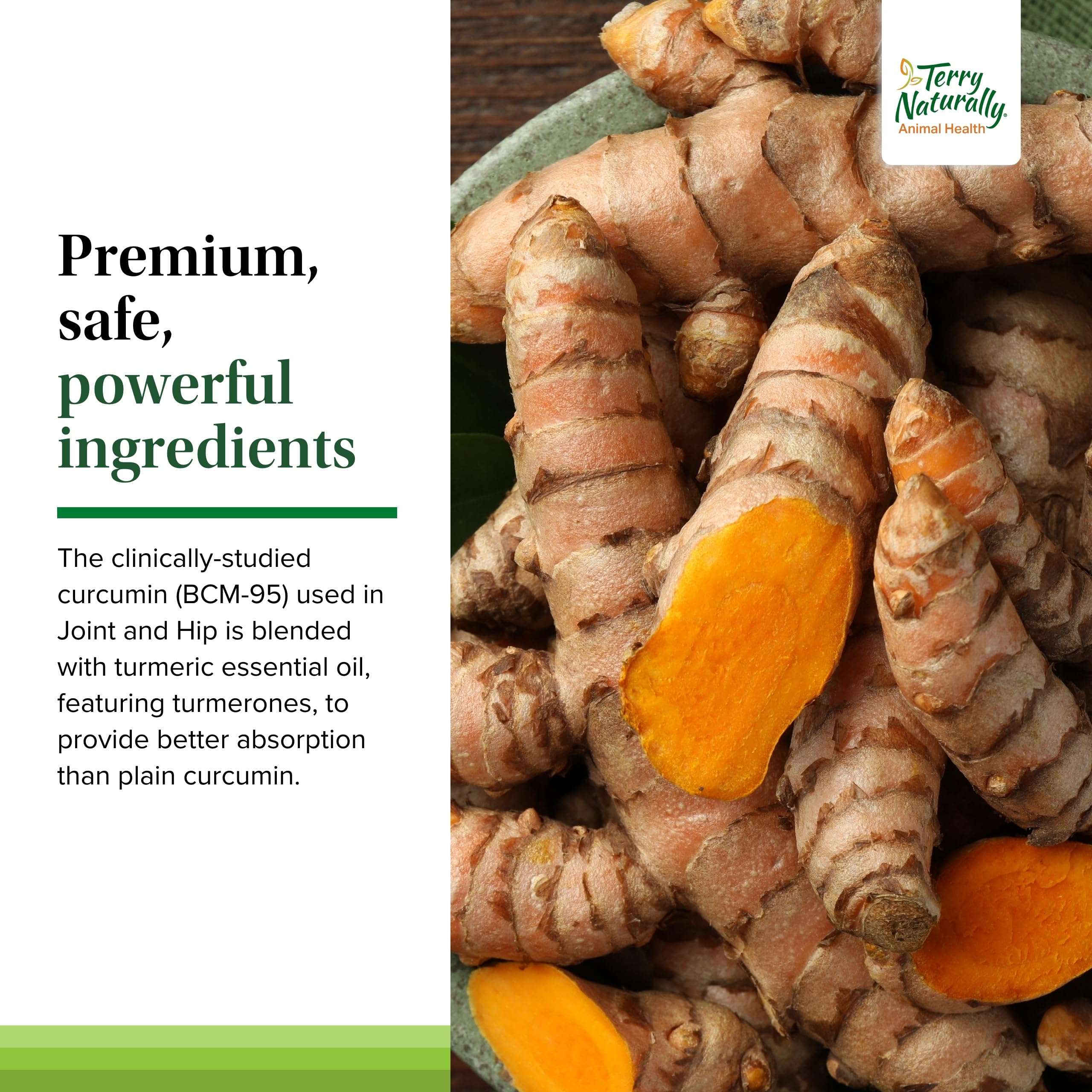 Terry Naturally Joint & Hip - Dog Health Supplement for Joint & Hip Support - Muscle Health Formula - Joint Health Support for D