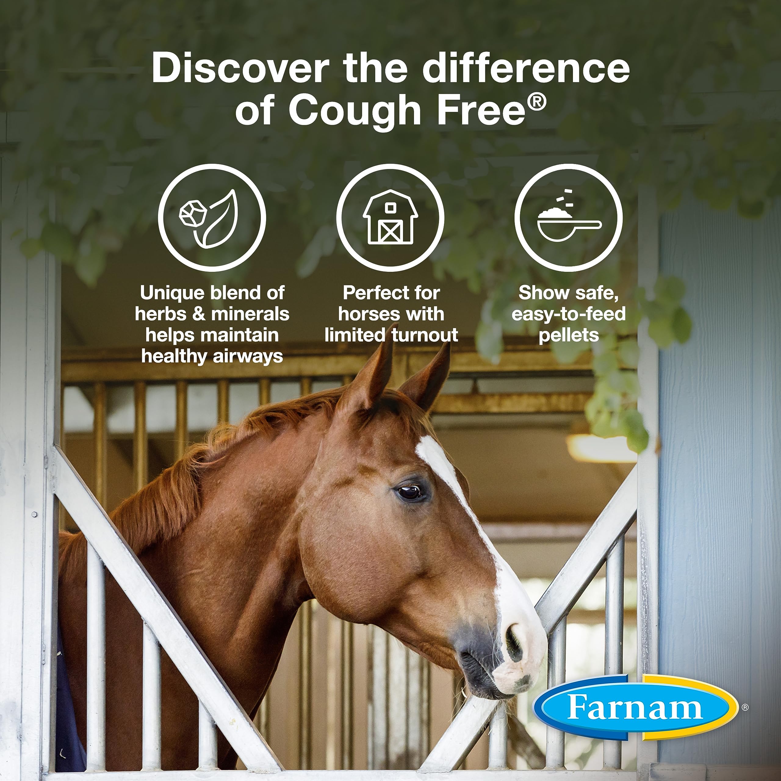 Farnam Cough Free Horse Cough Supplement Pellets, Provides Respiratory Support for Horses with Seasonal Allergies or Stable Coug