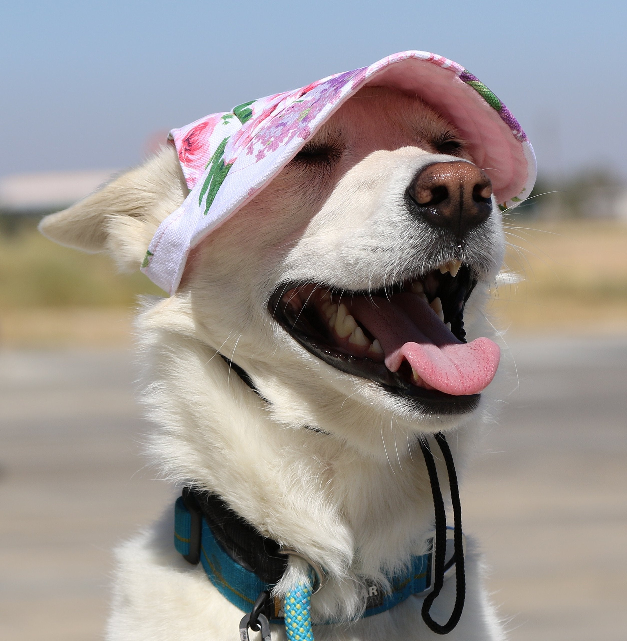 Lovewally Dog Outdoor Pet Hat Pink Floral Adjustable (Large)