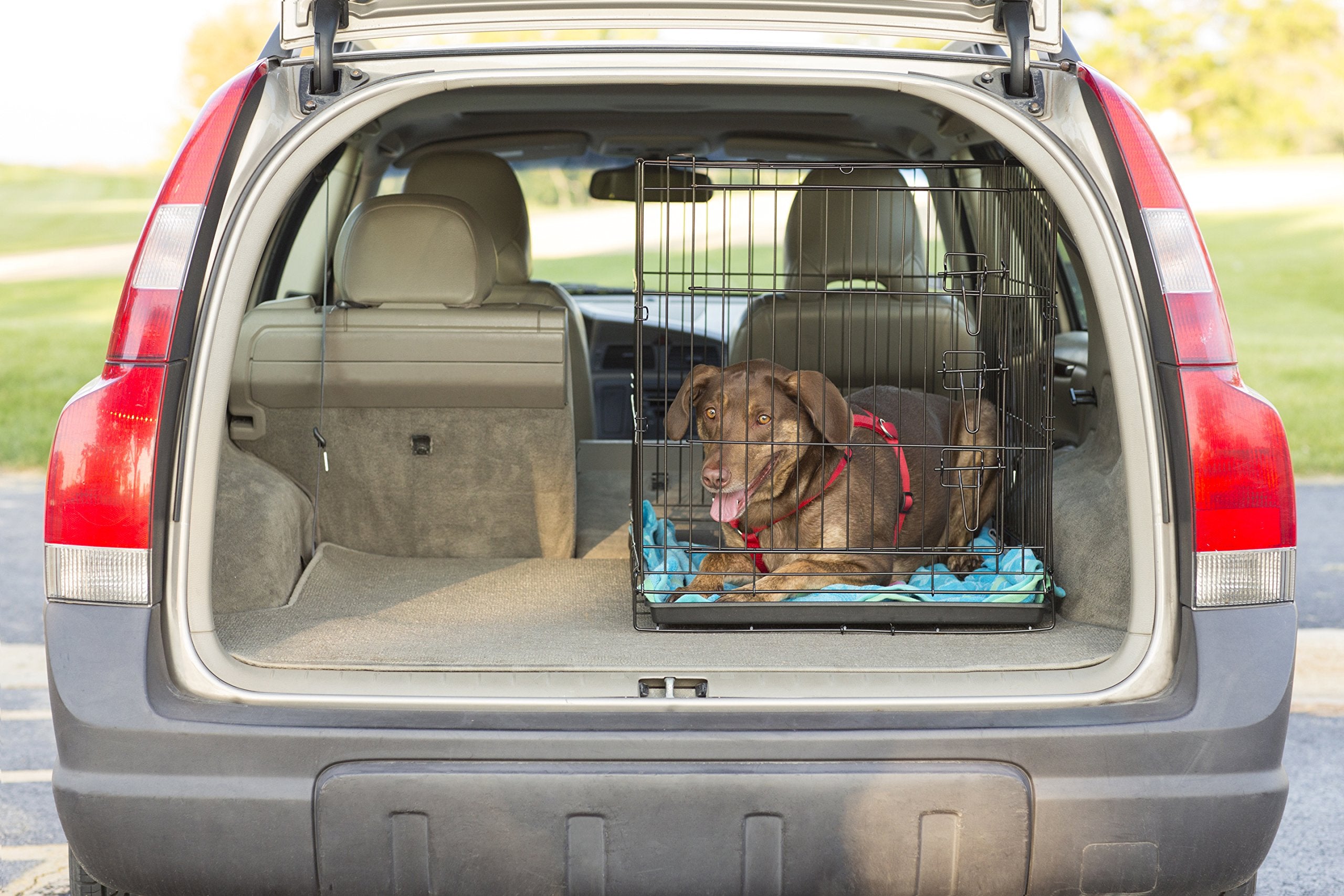 Prevue Pet Products Home On-The-Go Single Door Dog Crate E433, Medium, Black, Portable, Stability, Secure, Durable, Lightweight,