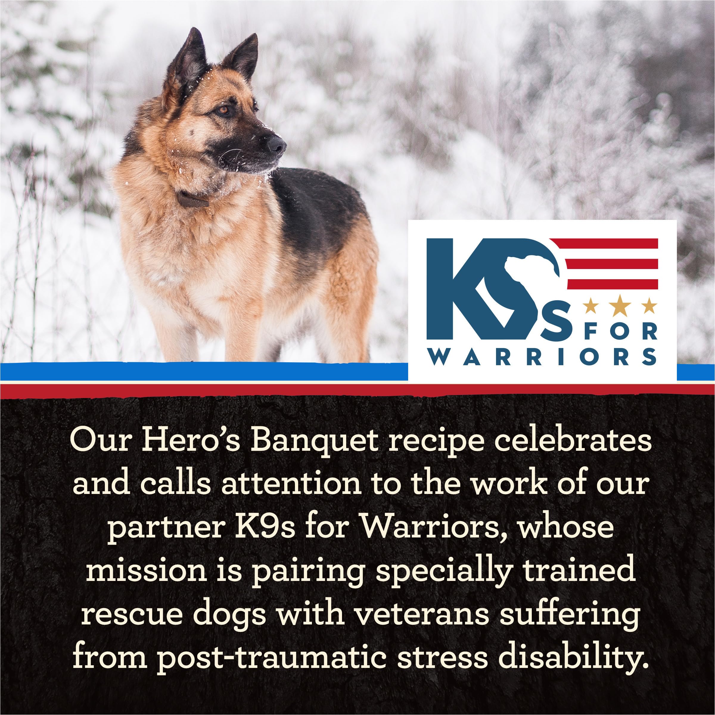 Merrick Backcountry Grain Free Premium Canned Wet Dog Food, Soft And Healthy Heros Banquet Stew With Beef - (Pack of 12) 12.7 oz