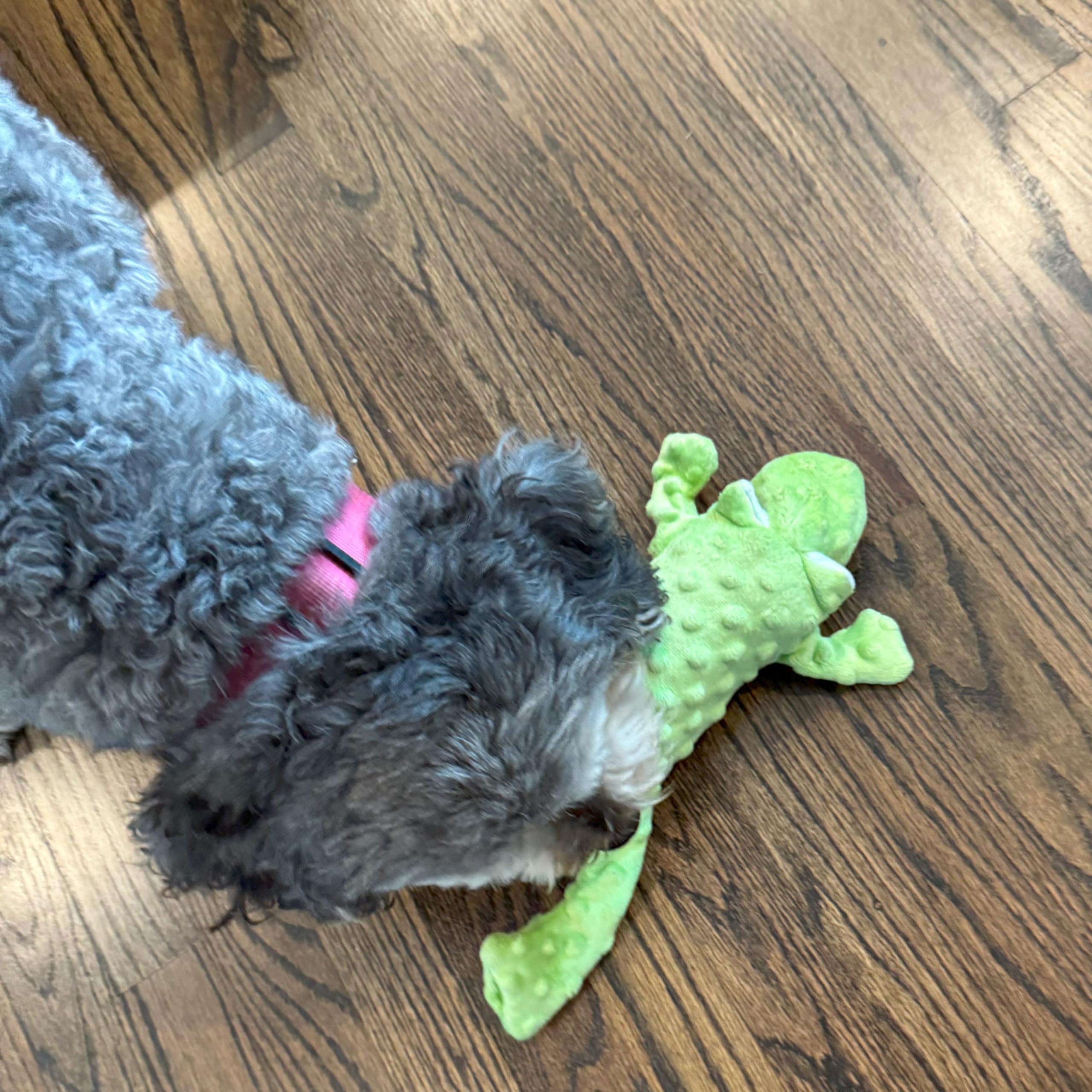 Ethical Pets 3 Pack Of Skinneez Extreme Stuffer Frog Dog Toys, 18 Inch3