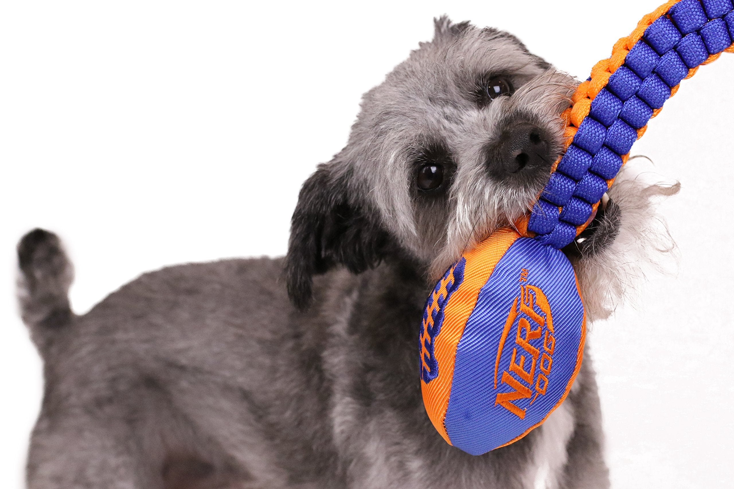 Nerf Dog Vortex Chain Tug Dog Toy With Squeaker Football Head, Lightweight, Durable, Water Resistant, 30 Inches, For Medium To Extra-Large Breeds, Single Unit (3474)