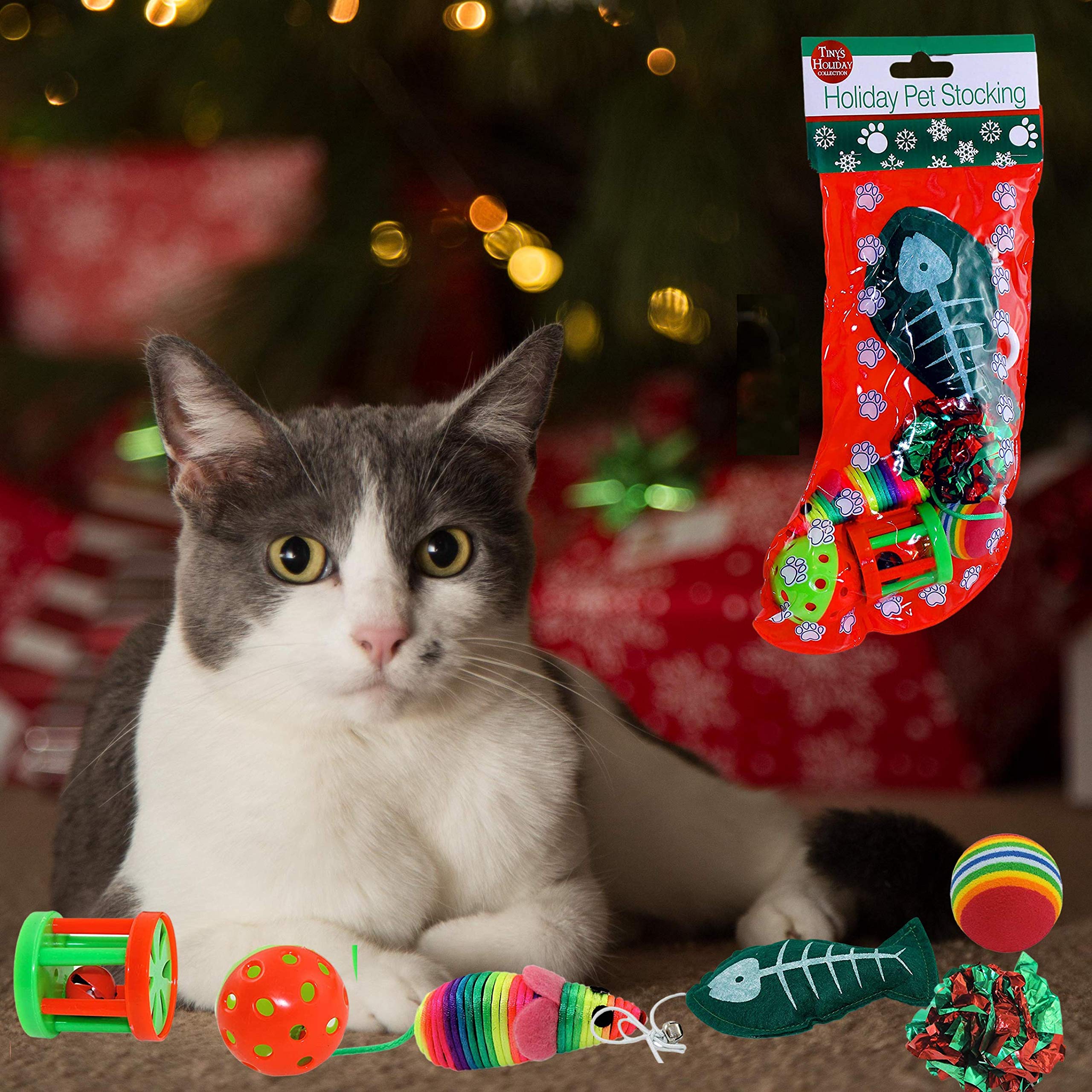 Kole Christmas Cat Stocking, 6 Assorted Toys, Medium Breeds
