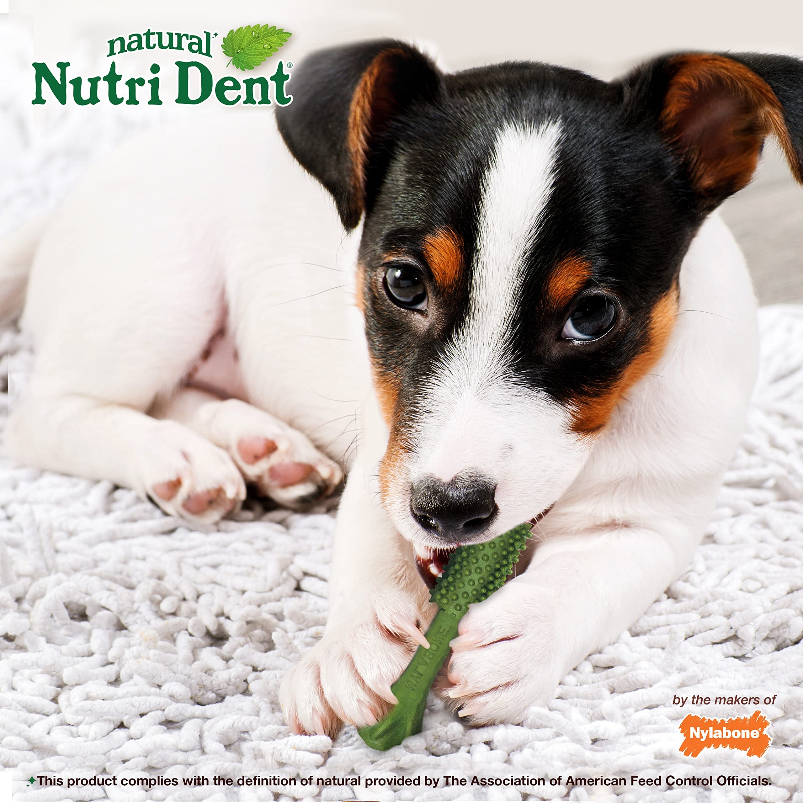 Nylabone Nutri Dent Dog Dental Chews - Natural Dog Teeth Cleaning & Breath Freshener - Dental Treats for Dogs - Fresh Breath Fla