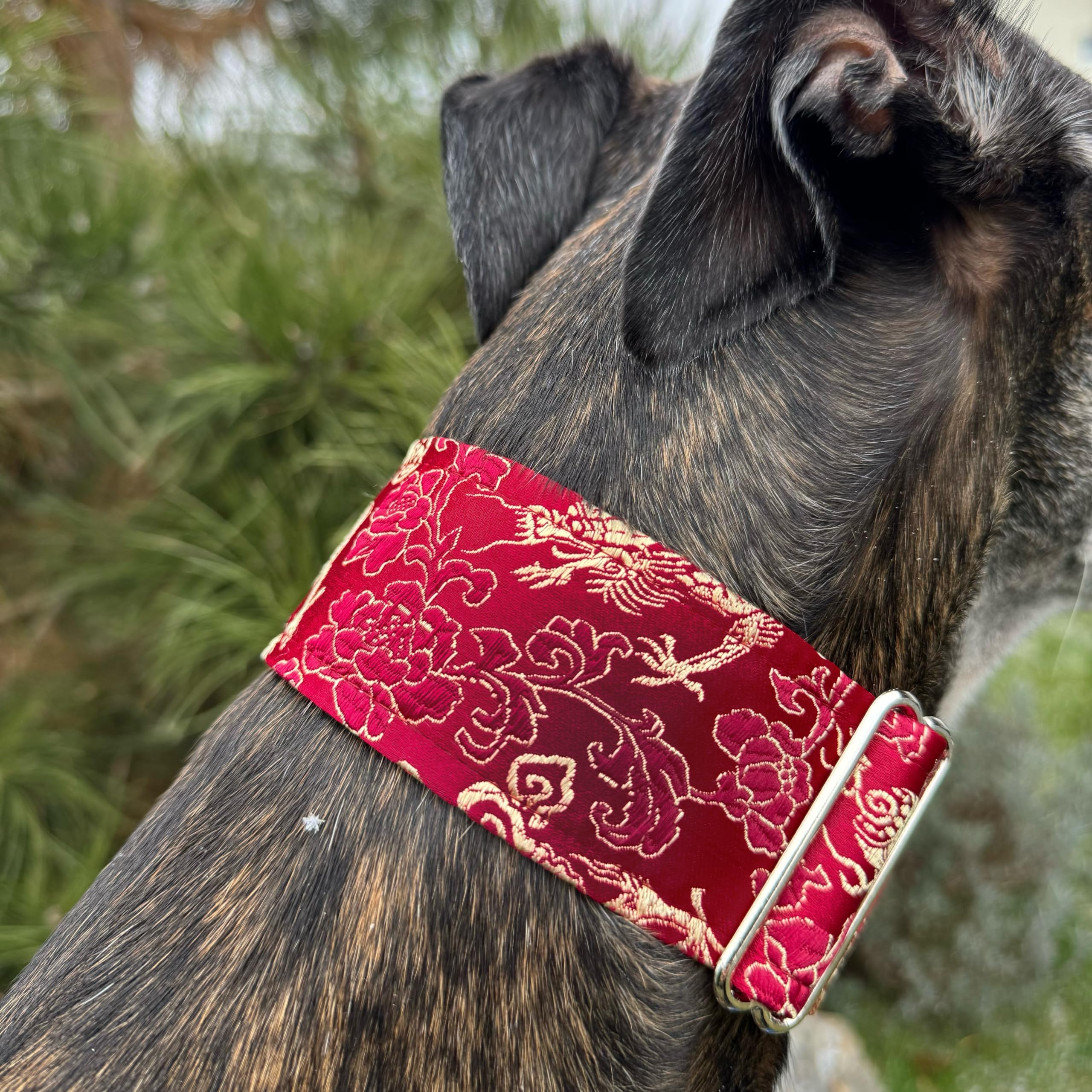 Extra Soft Martingale Dog Collar For Greyhound Saluki Whippet And Other Breeds With Similar Neck 2' Wide (M 11'-14')