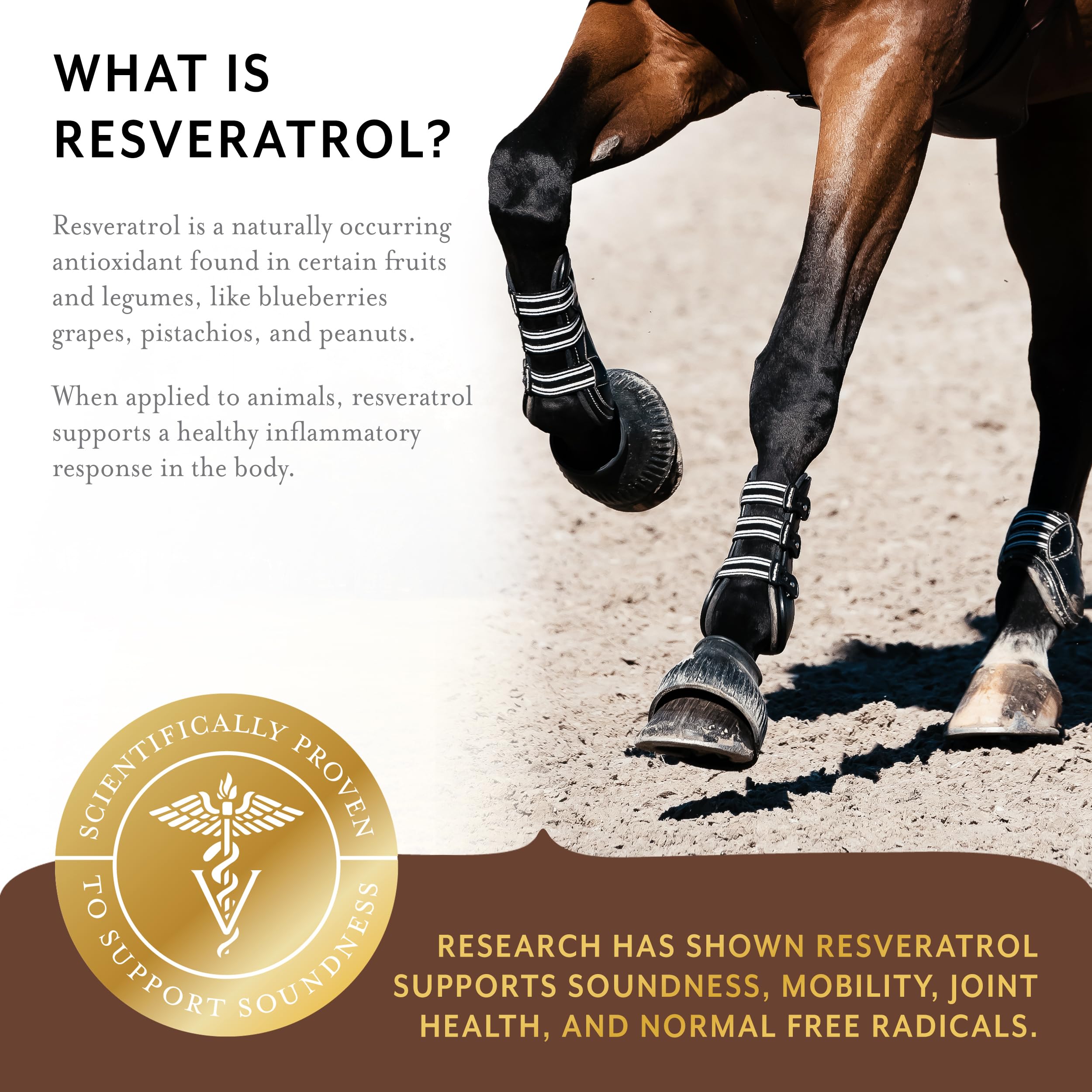 Equithrive Complete Joint Supplement Pellets with Resveratrol, Glucosamine, Chondroitin, Hyaluronic Acid and MSM for Horses, 1.6