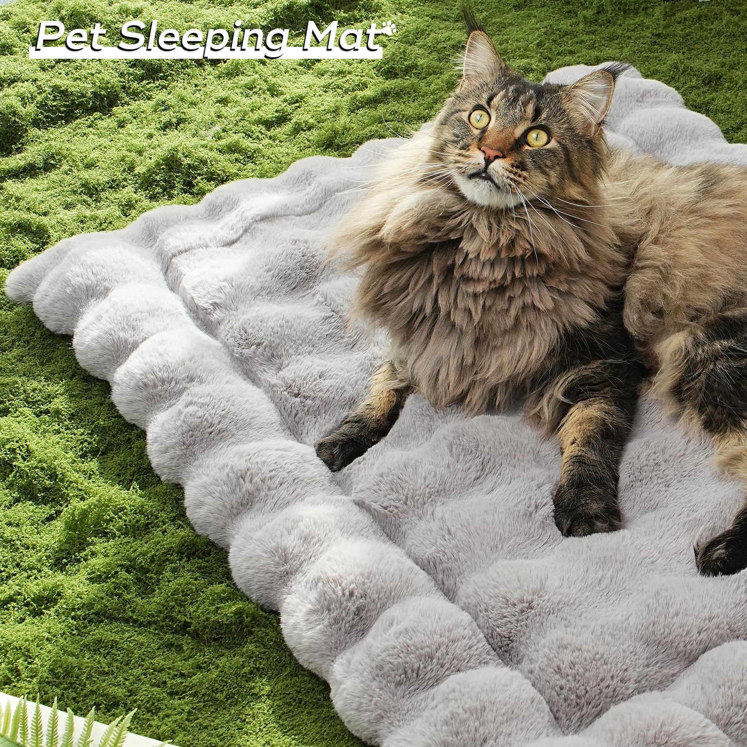 Somahe Dog Beds Mat Cute Cat Beds For Indoor Cats Faux Fur Pet Pad With Non-Slip Bottom Plush Kitten Bed For Carriers/Sofa Puppy