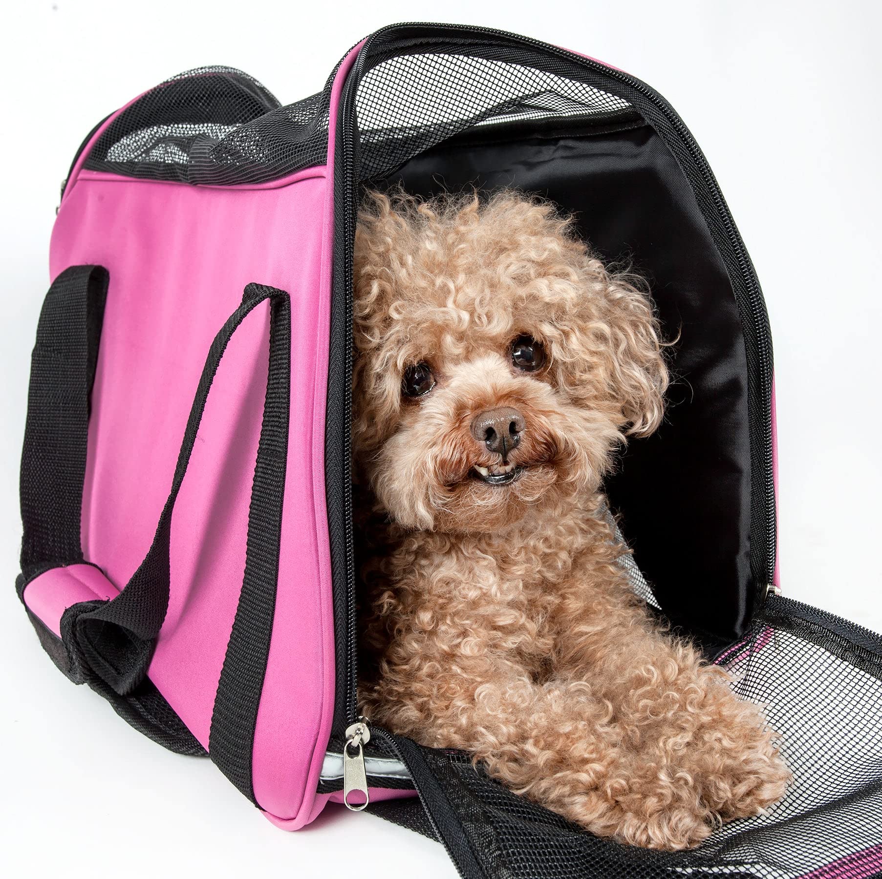 Pet Life 'Altitude-Force' Airline Pet Carrier - Sporty Zippered and Folding Collapsible Travel Cat and Dog Carrier - Travel Pet