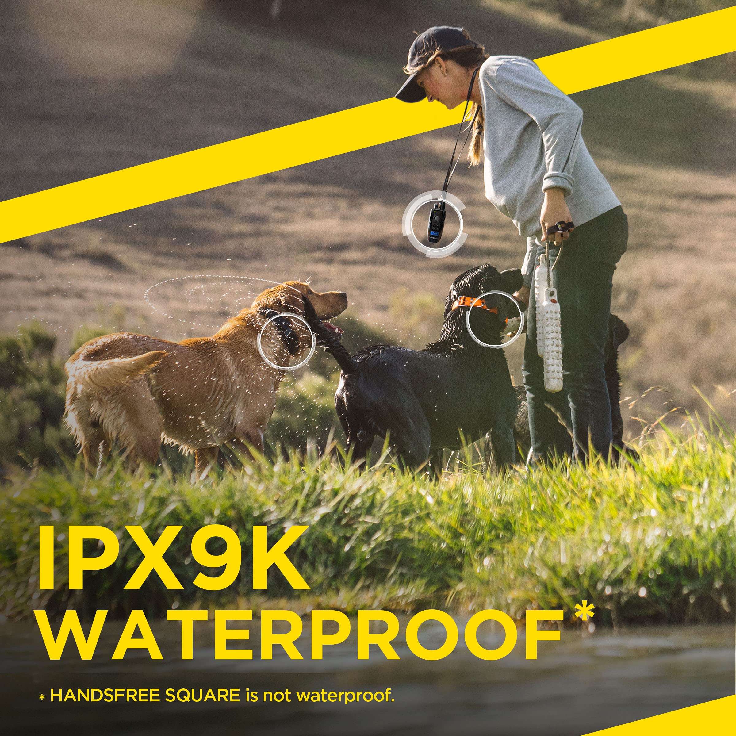 Dogtra 1900S Handsfree Plus Remote Dog Training E-Collar With Expandable Handsfree Square For Discreet Control Ergonomic Rechargeable 3/4-Mile Range Waterproof High-Output