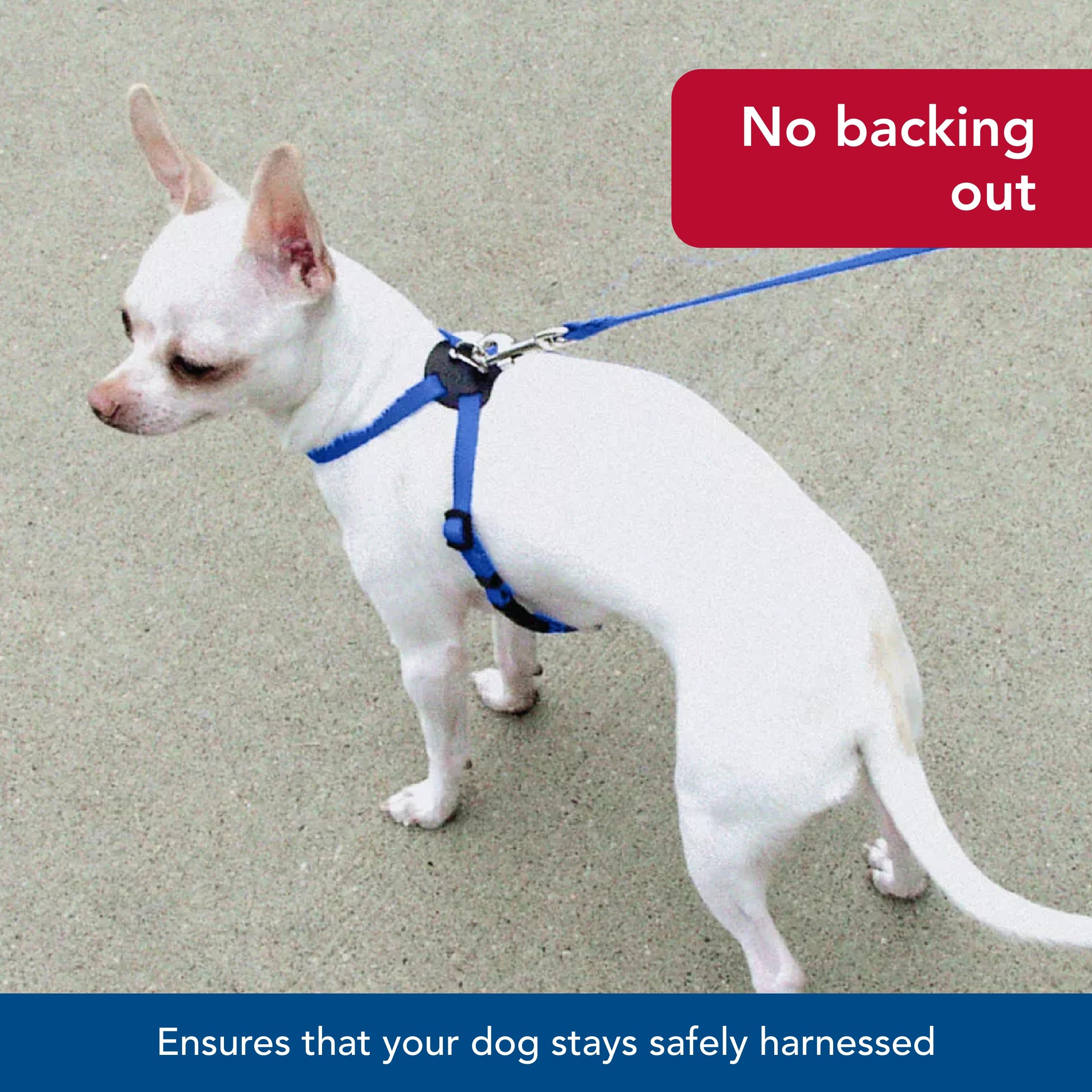 Coastal Pet Size Right Adjustable Dog Harness - Small & Big Dog Harness - Comfortable Dog Training Harness - Includes Snap-Lock Buckle - Quality Dog Supplies - Blue, 1' X 30-38'